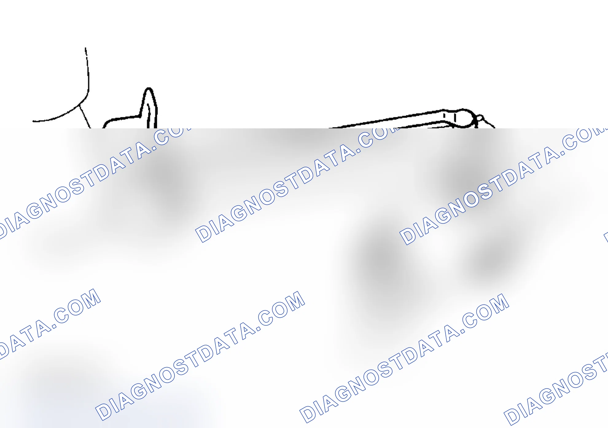 Scheme 18: Reassembly