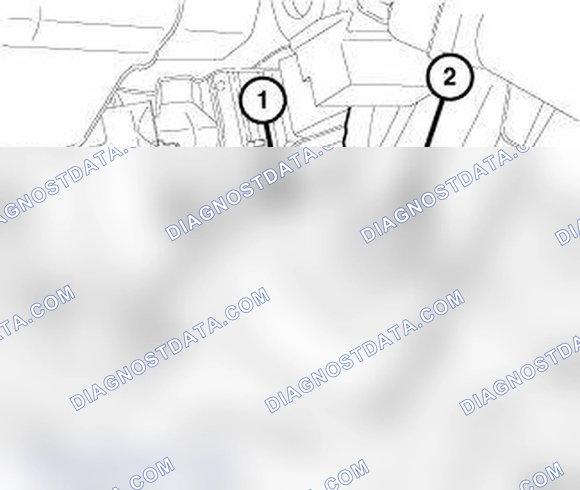Scheme 339