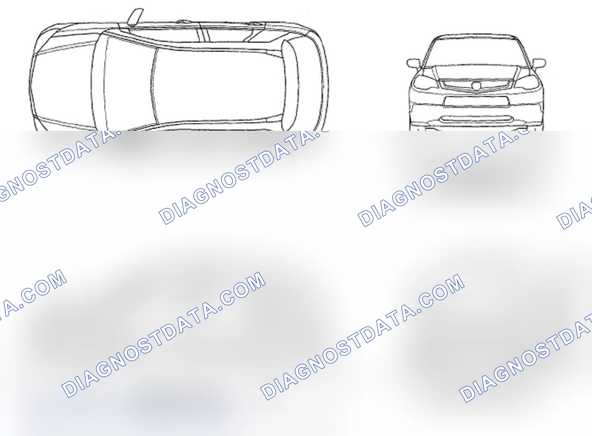 Scheme 1: Body Specifications