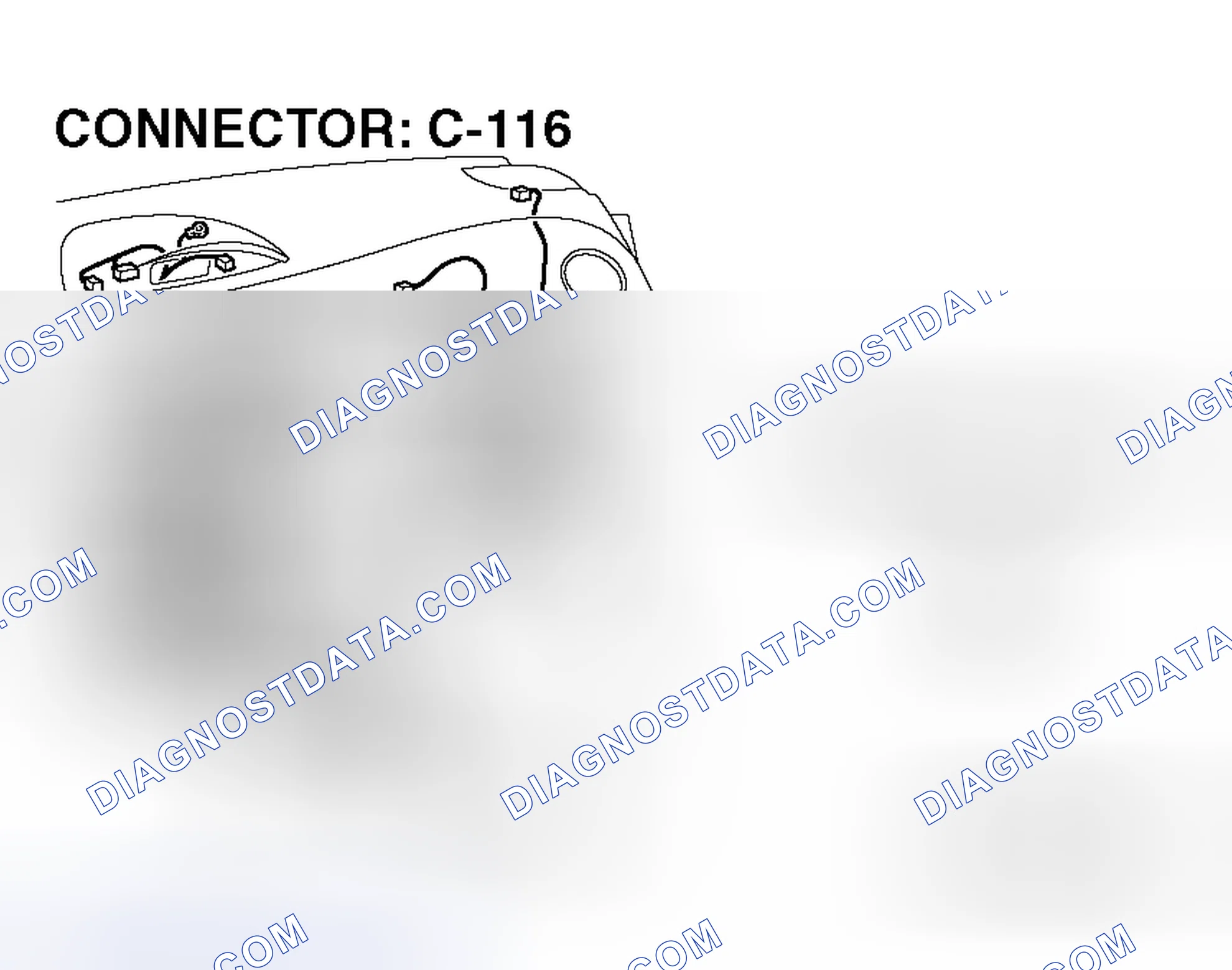 Scheme 304