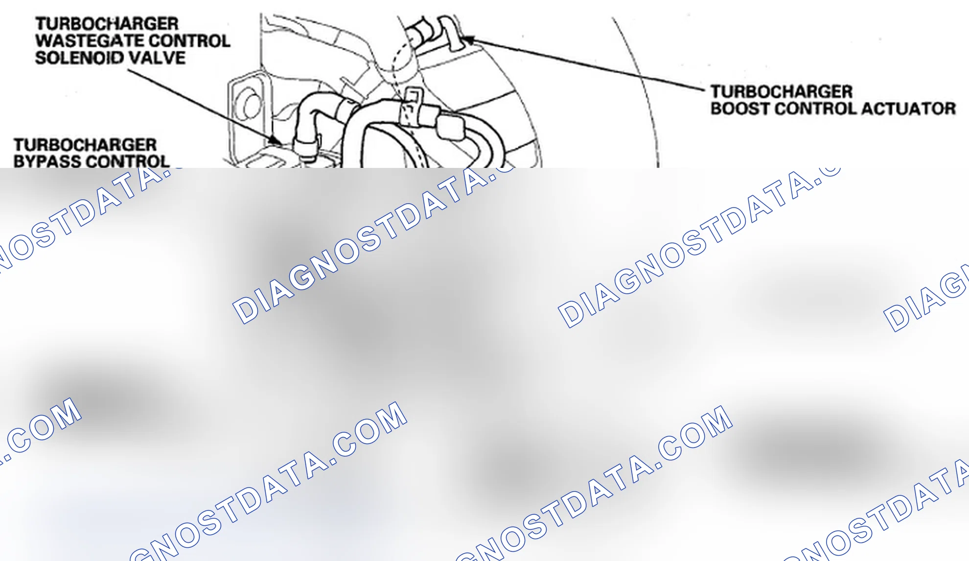 Scheme 14: REAR VIEW