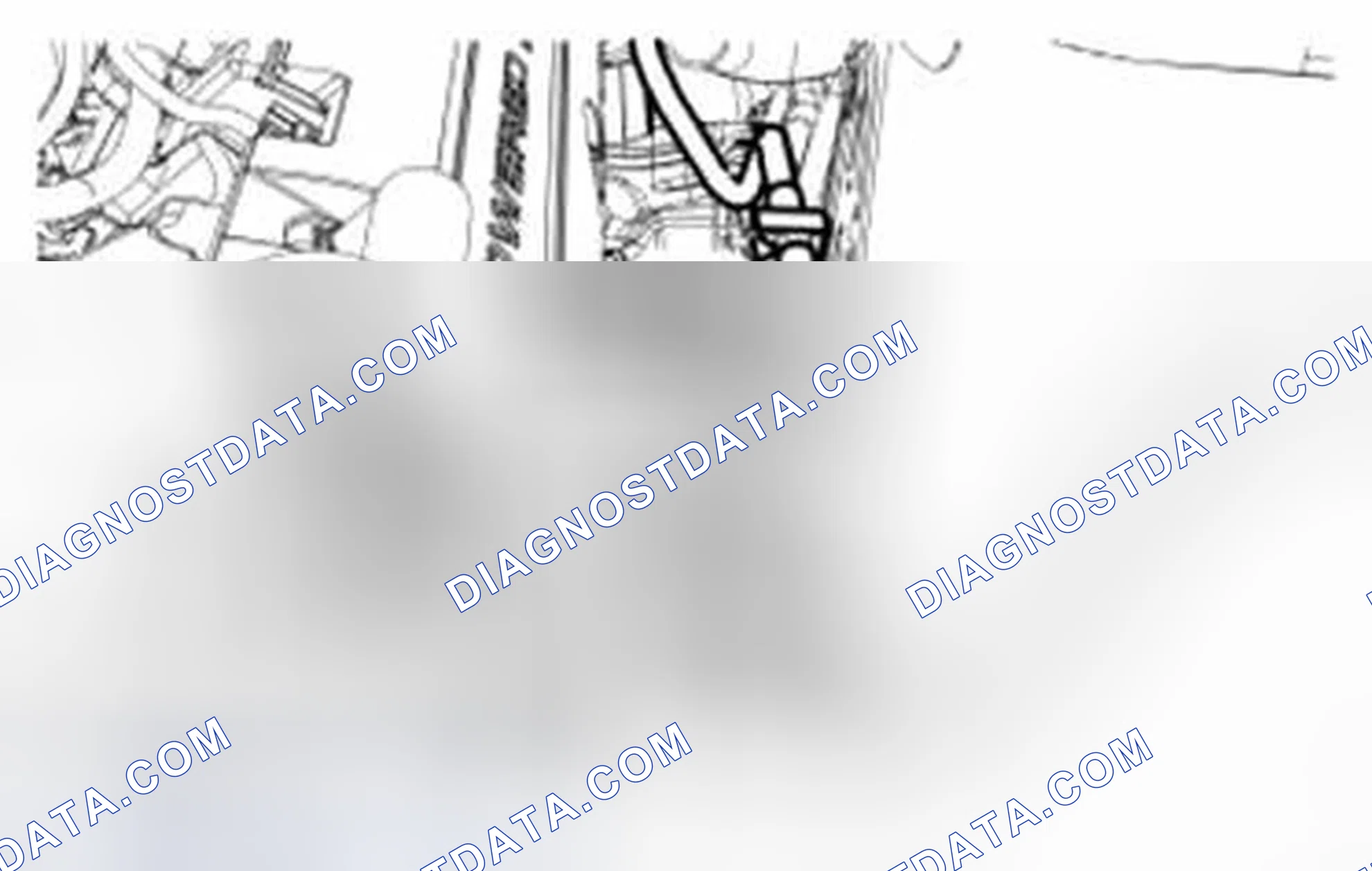 Scheme 1038