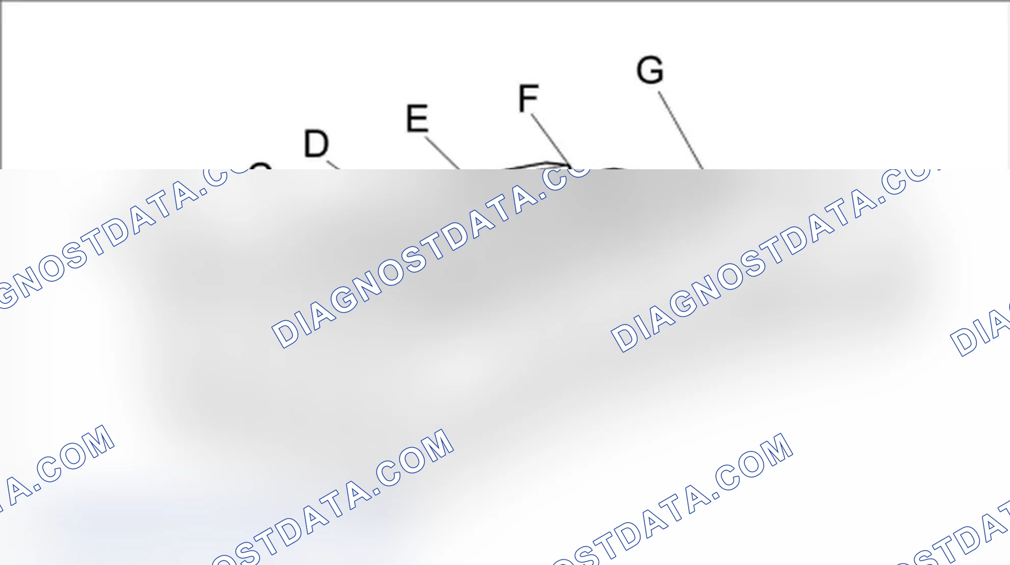 Scheme 389: Damage symptoms