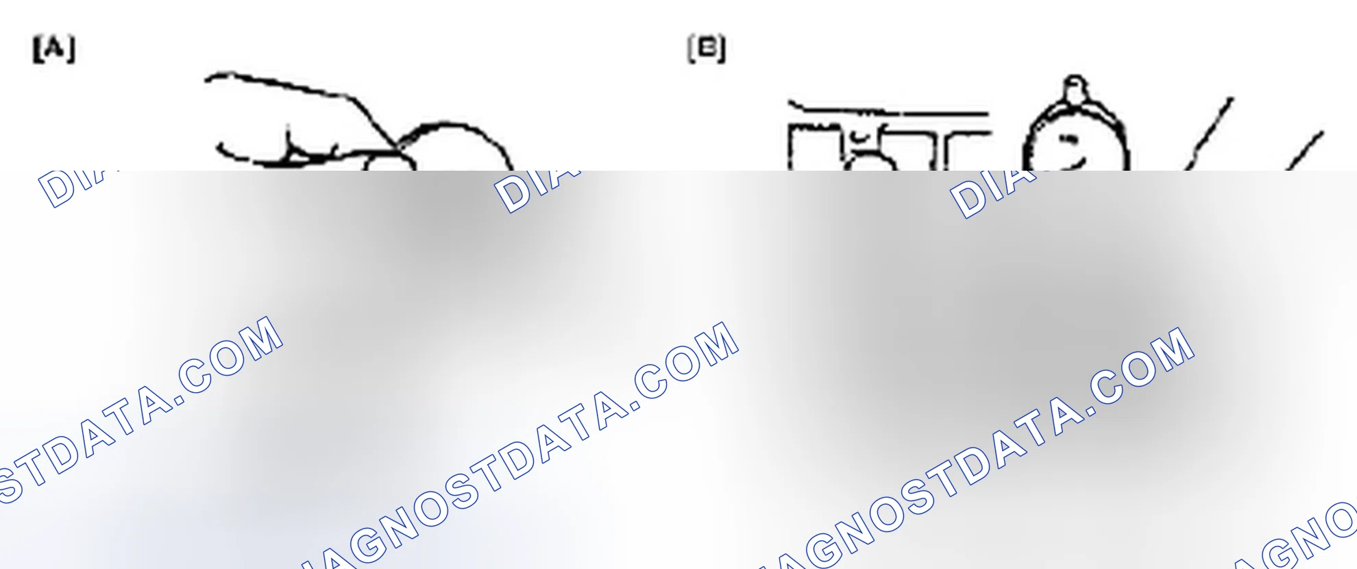 Scheme 163
