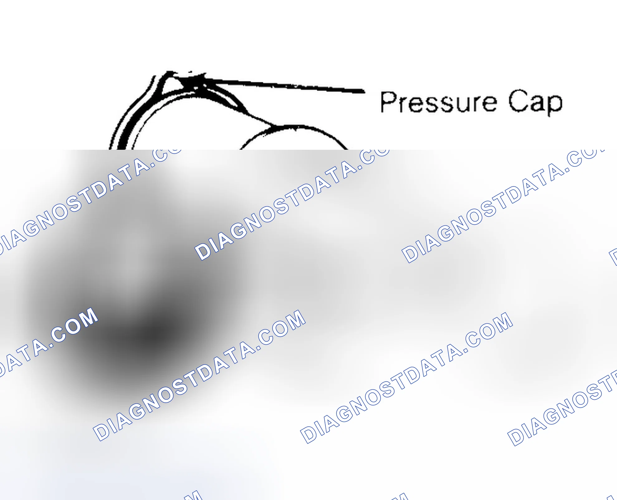 Scheme 2: Pressure Testing Radiator Cap