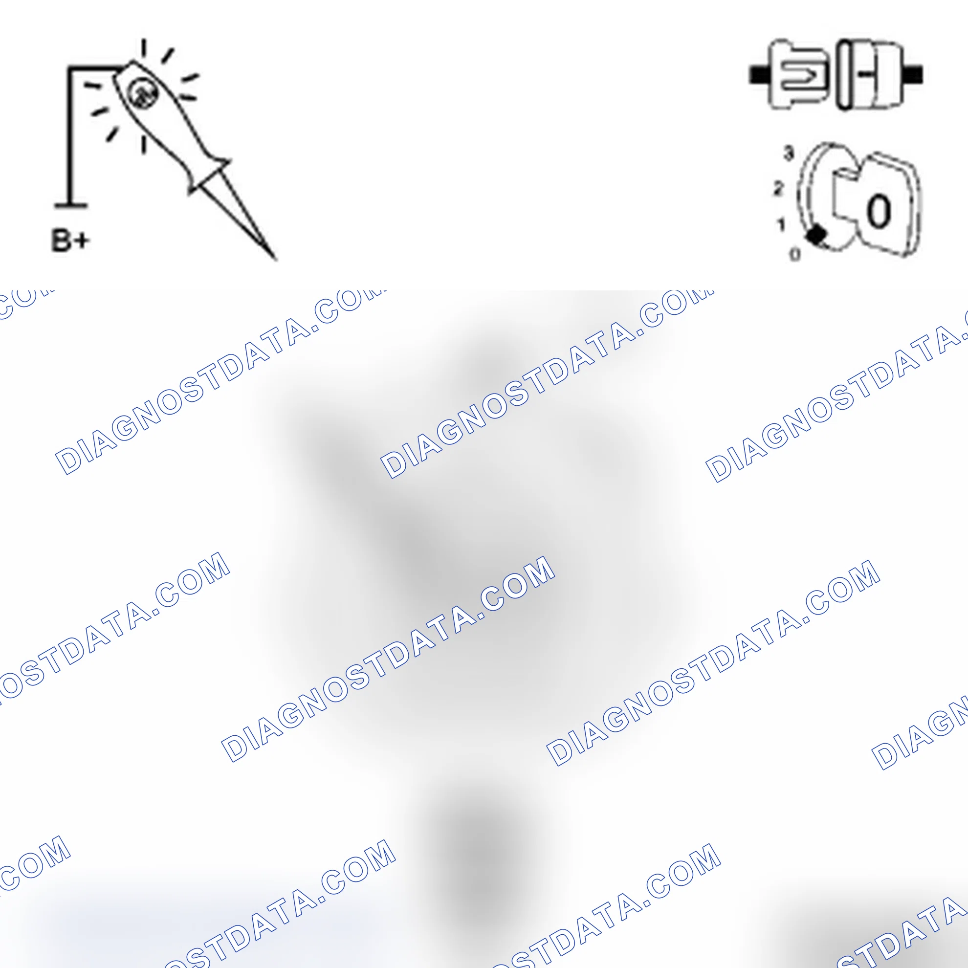 Scheme 43: Diagnostic Test