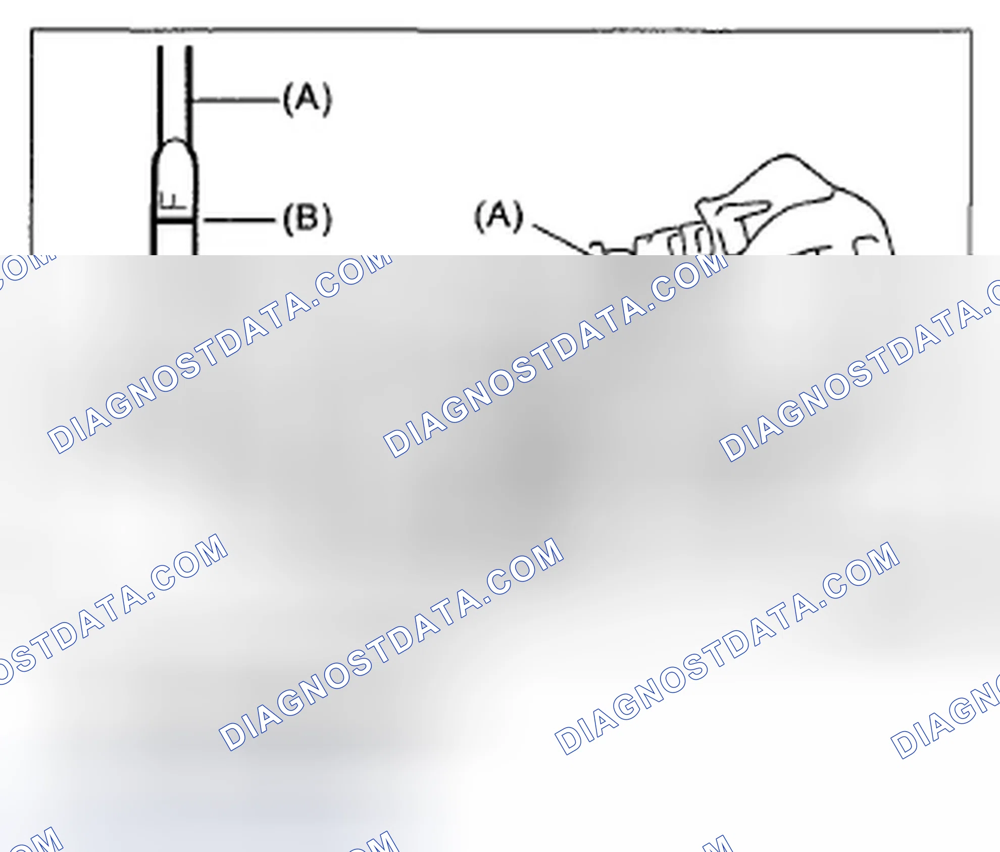 Scheme 194