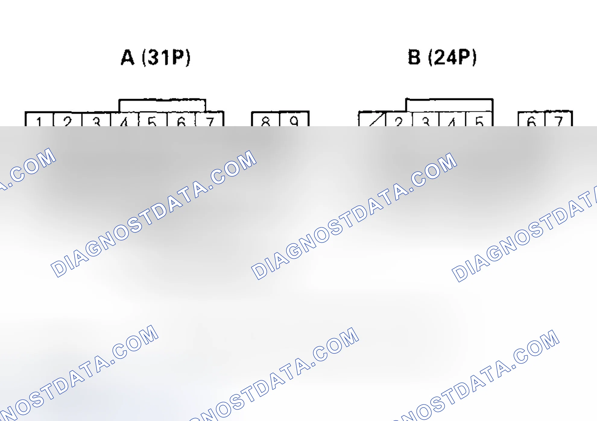 Scheme 248