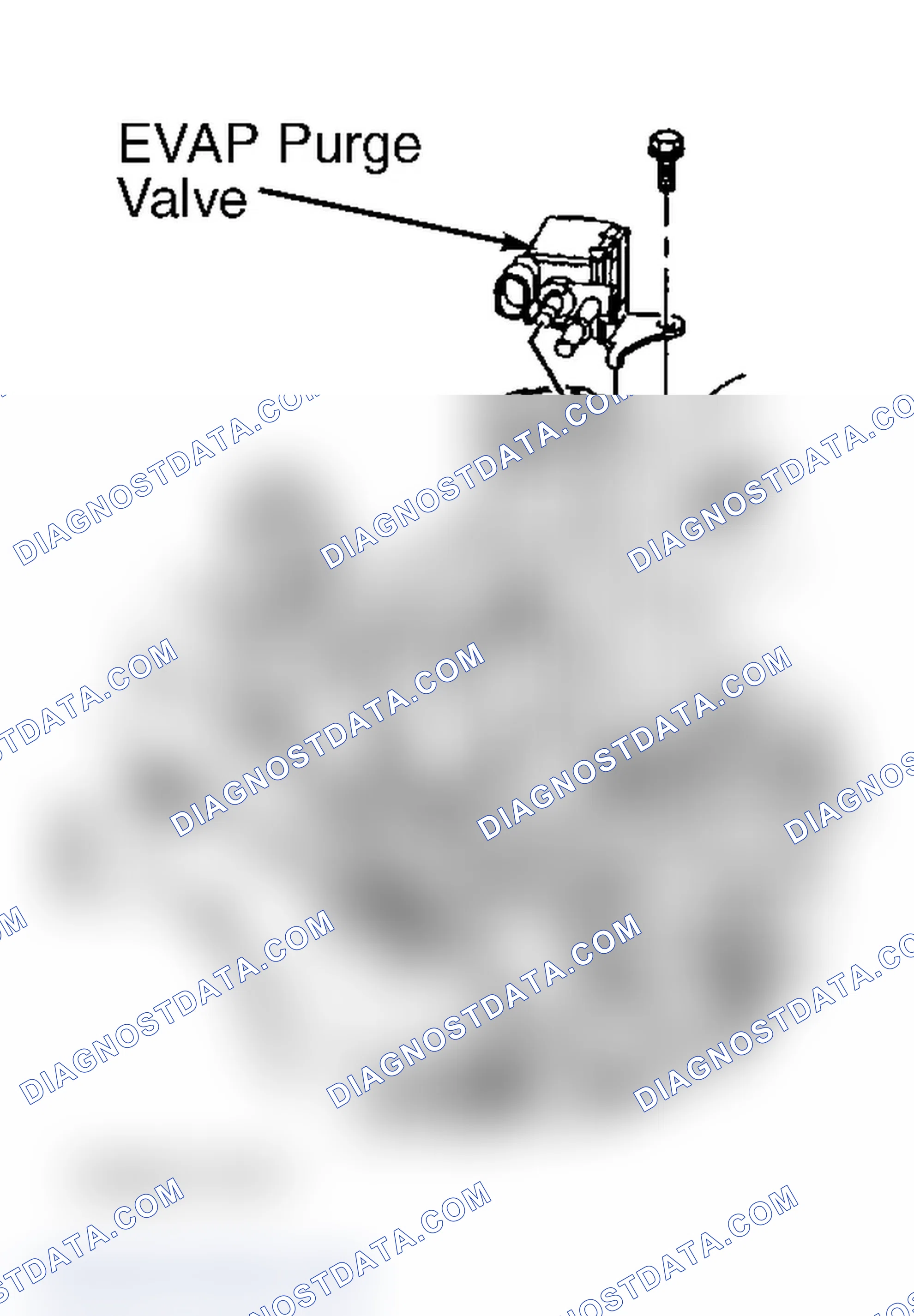 Scheme 20: EVAP Service Port