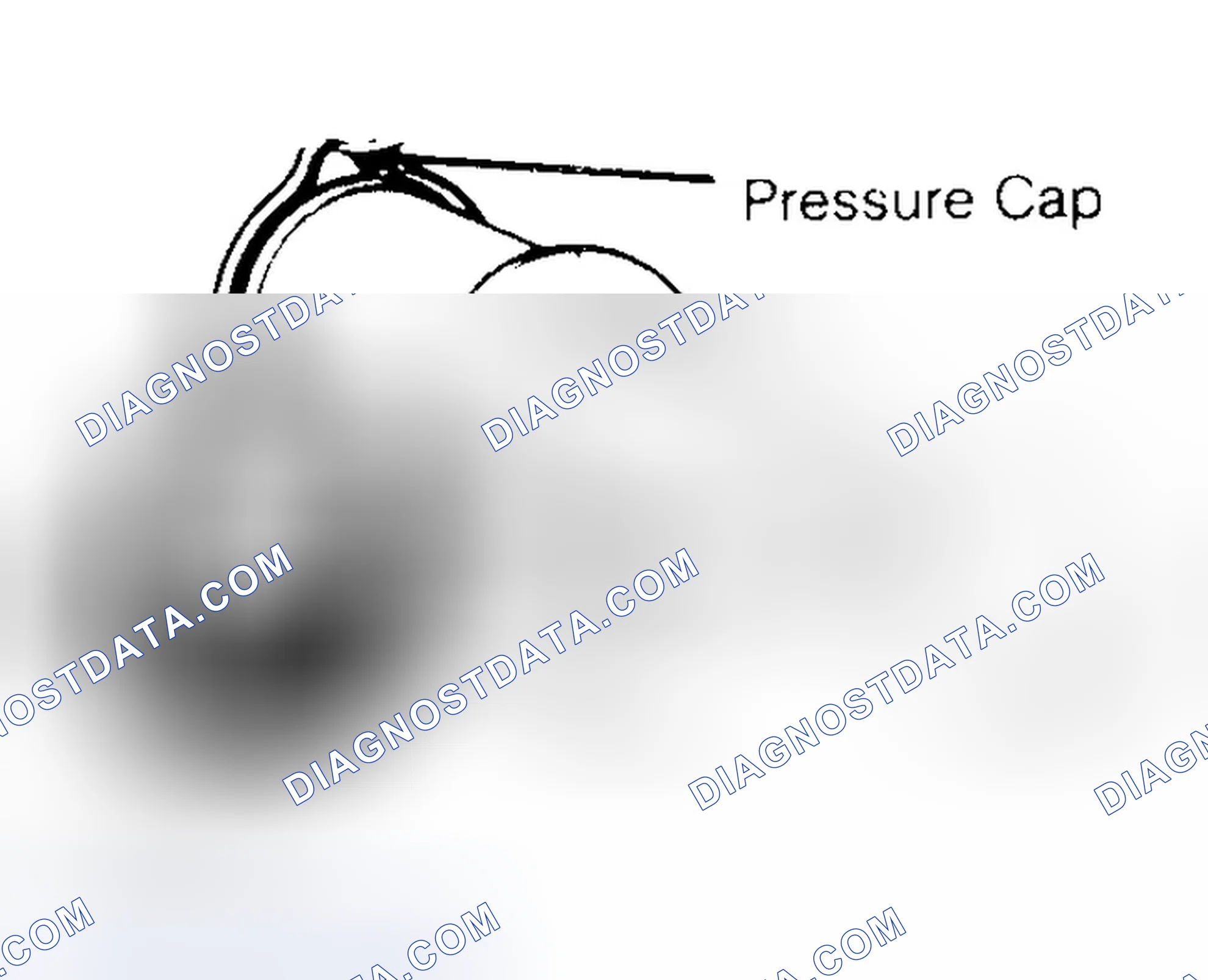 Scheme 2: Pressure Testing Radiator Cap