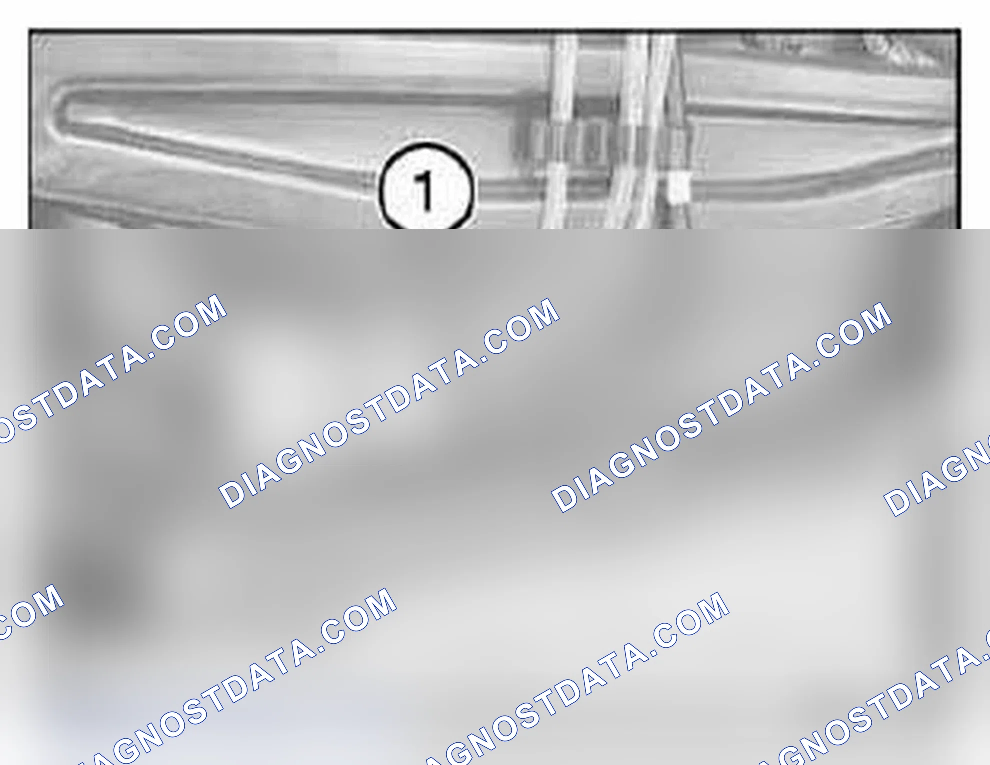Scheme 219