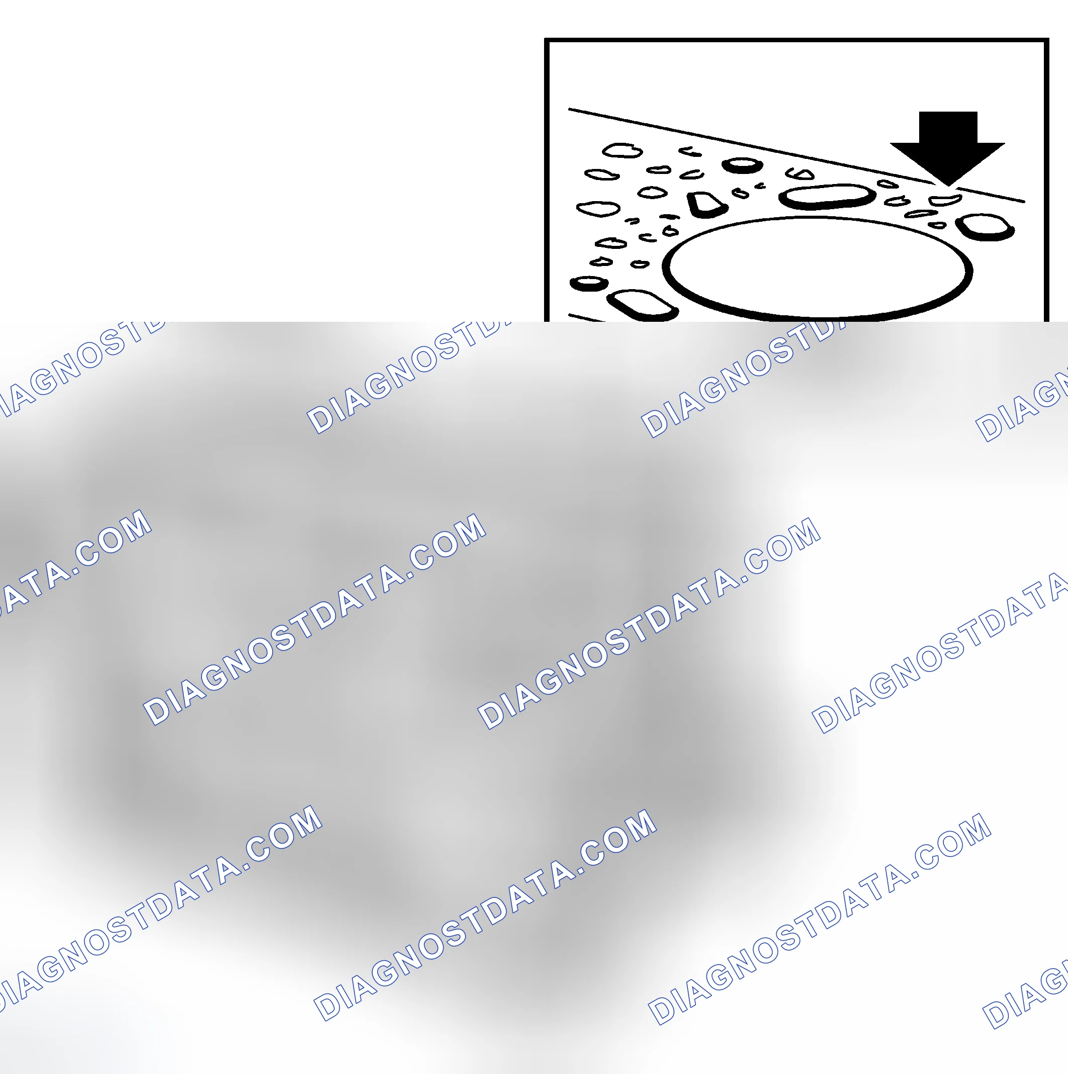 Scheme 309: Pitting in the surface sealing to the cylinder head