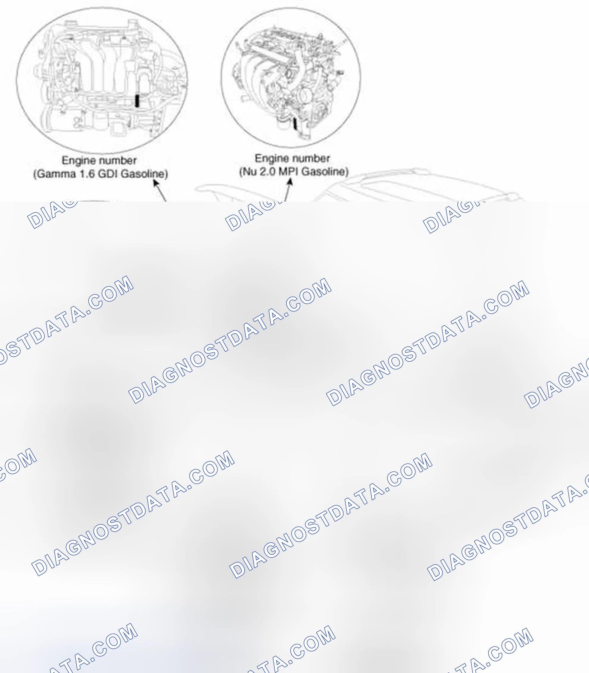 Scheme 4: Identification Number Locations