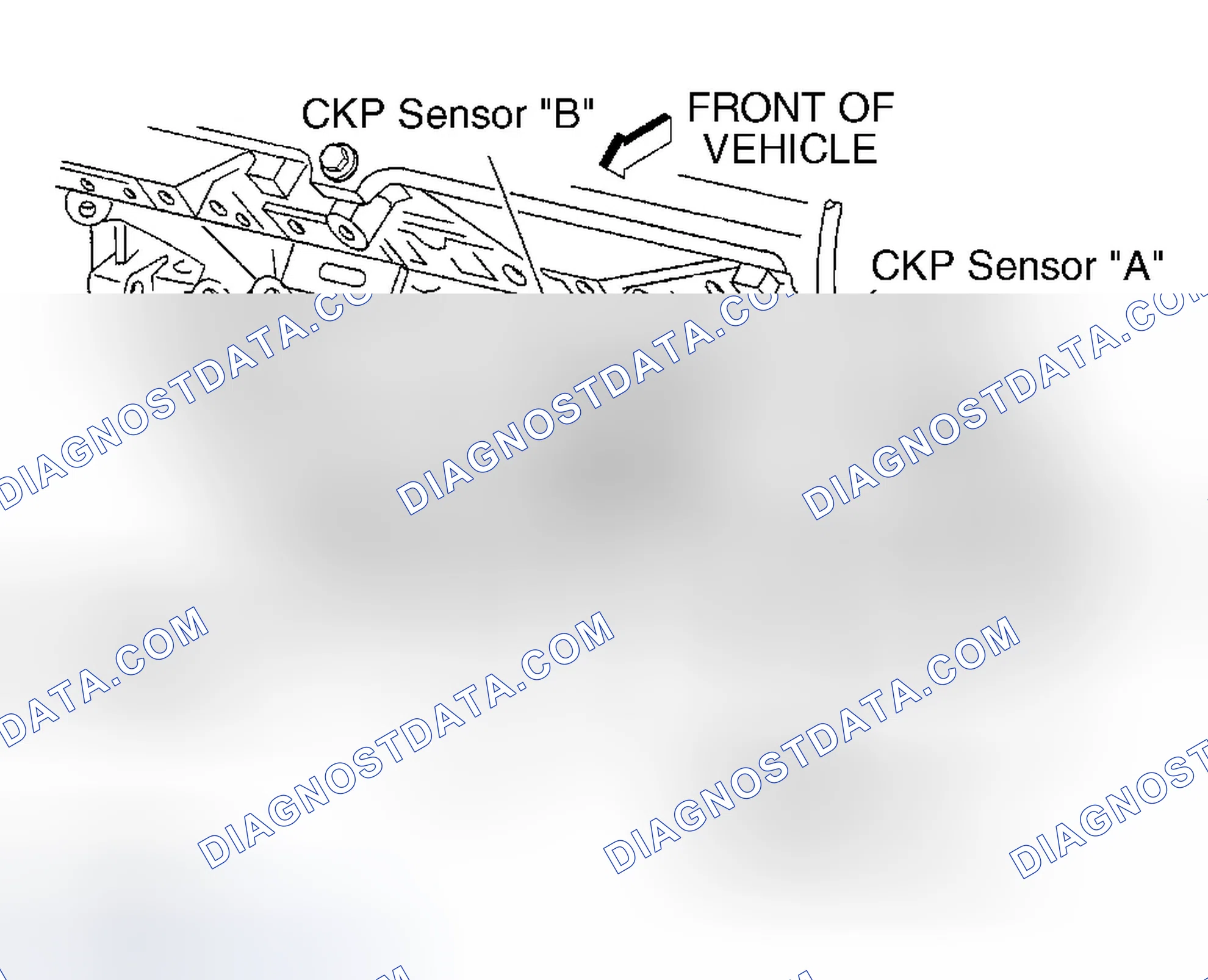 Scheme 16: Diagnostic Procedures