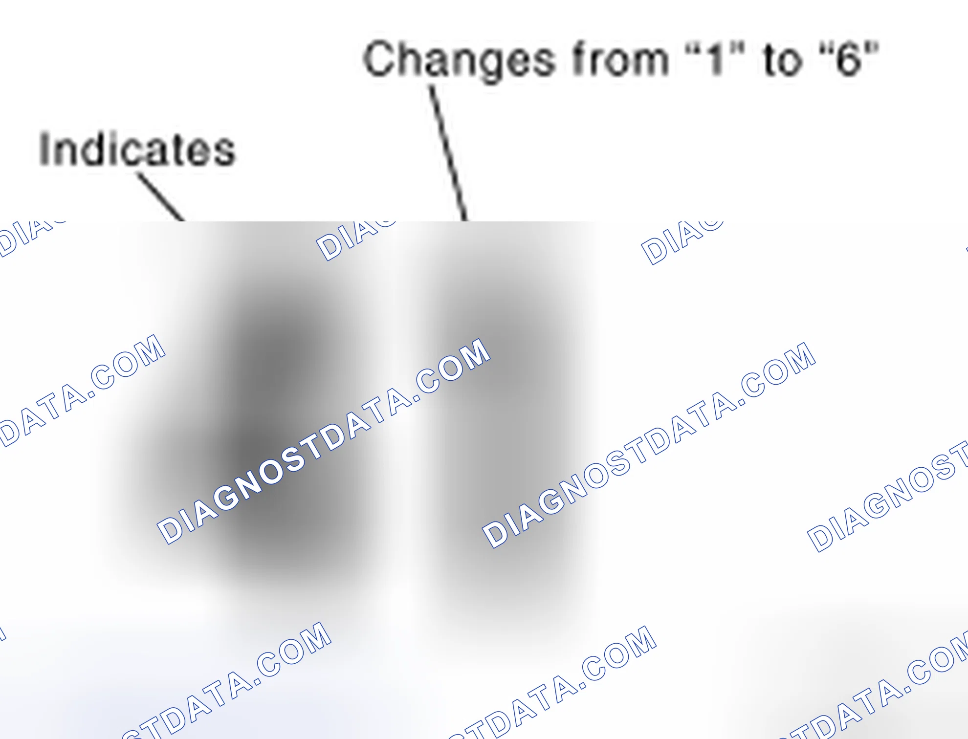 Scheme 12