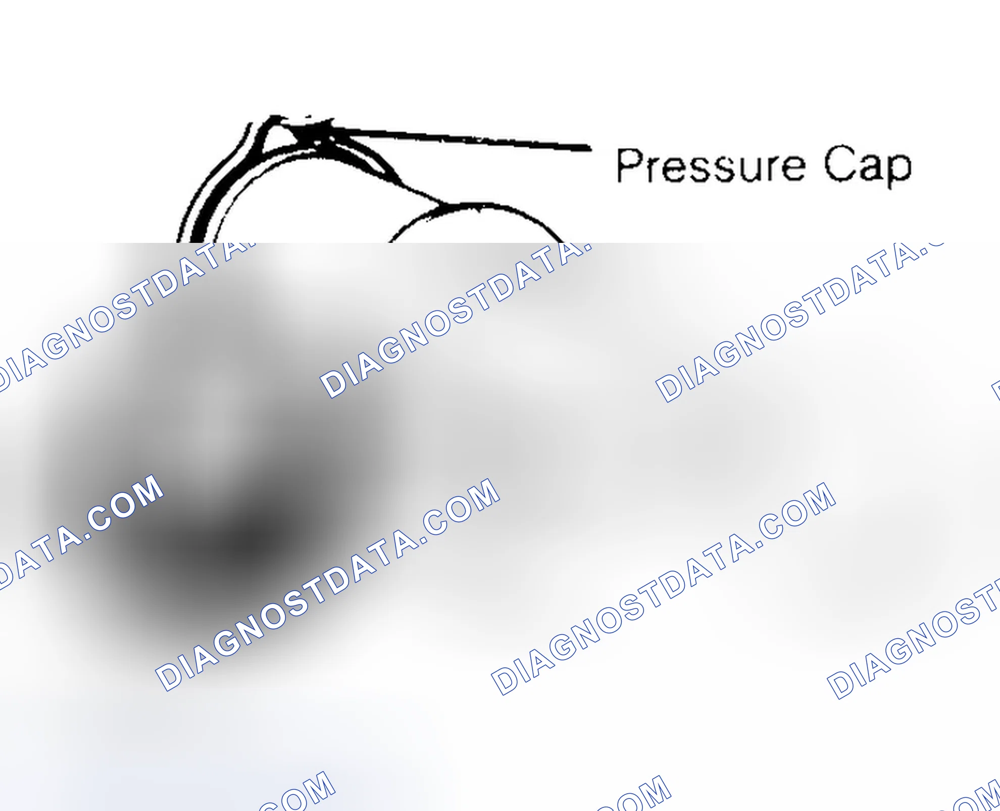 Scheme 2: Pressure Testing Radiator Cap