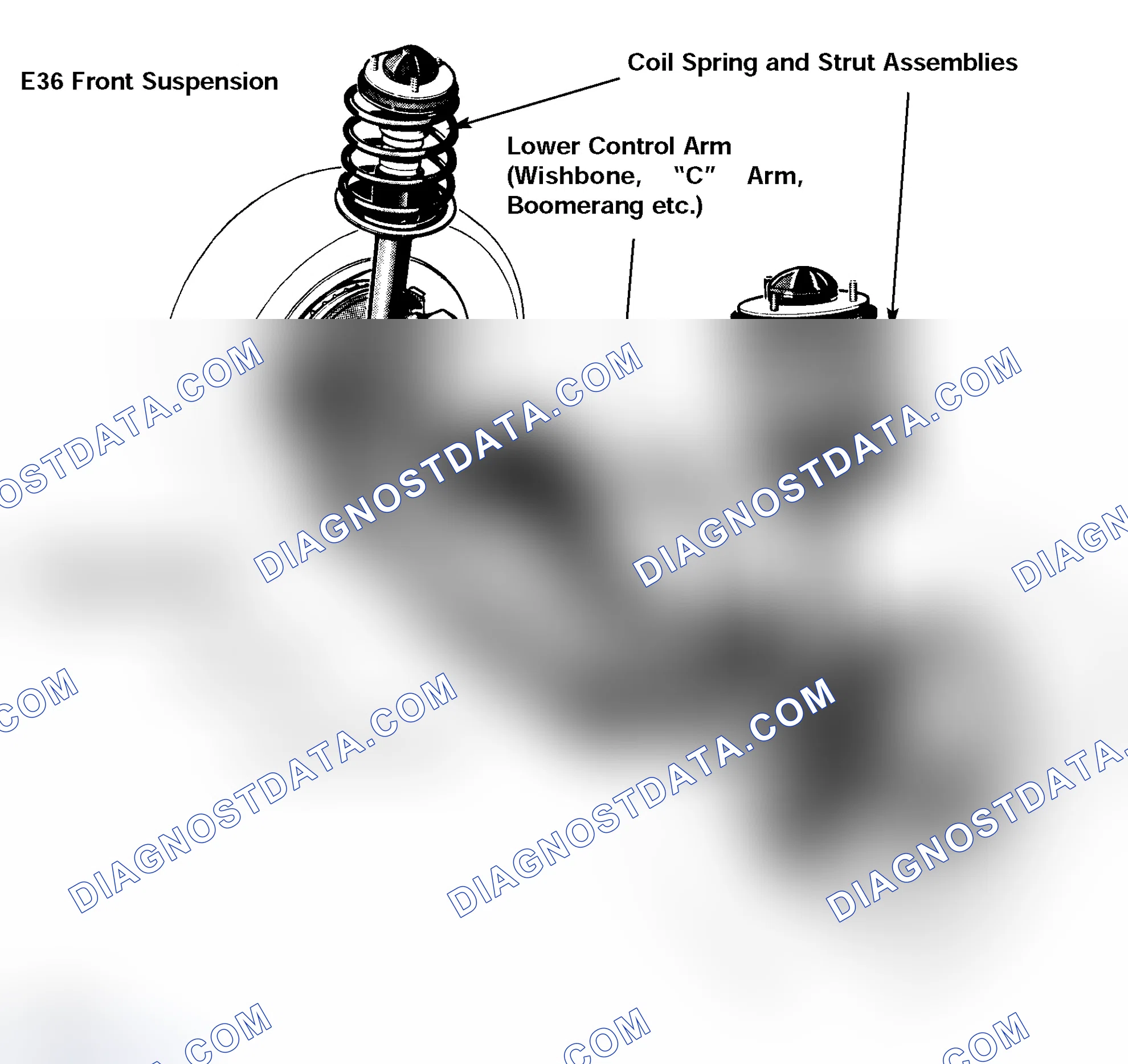 Scheme 79: Single Joint Spring Strut Axle