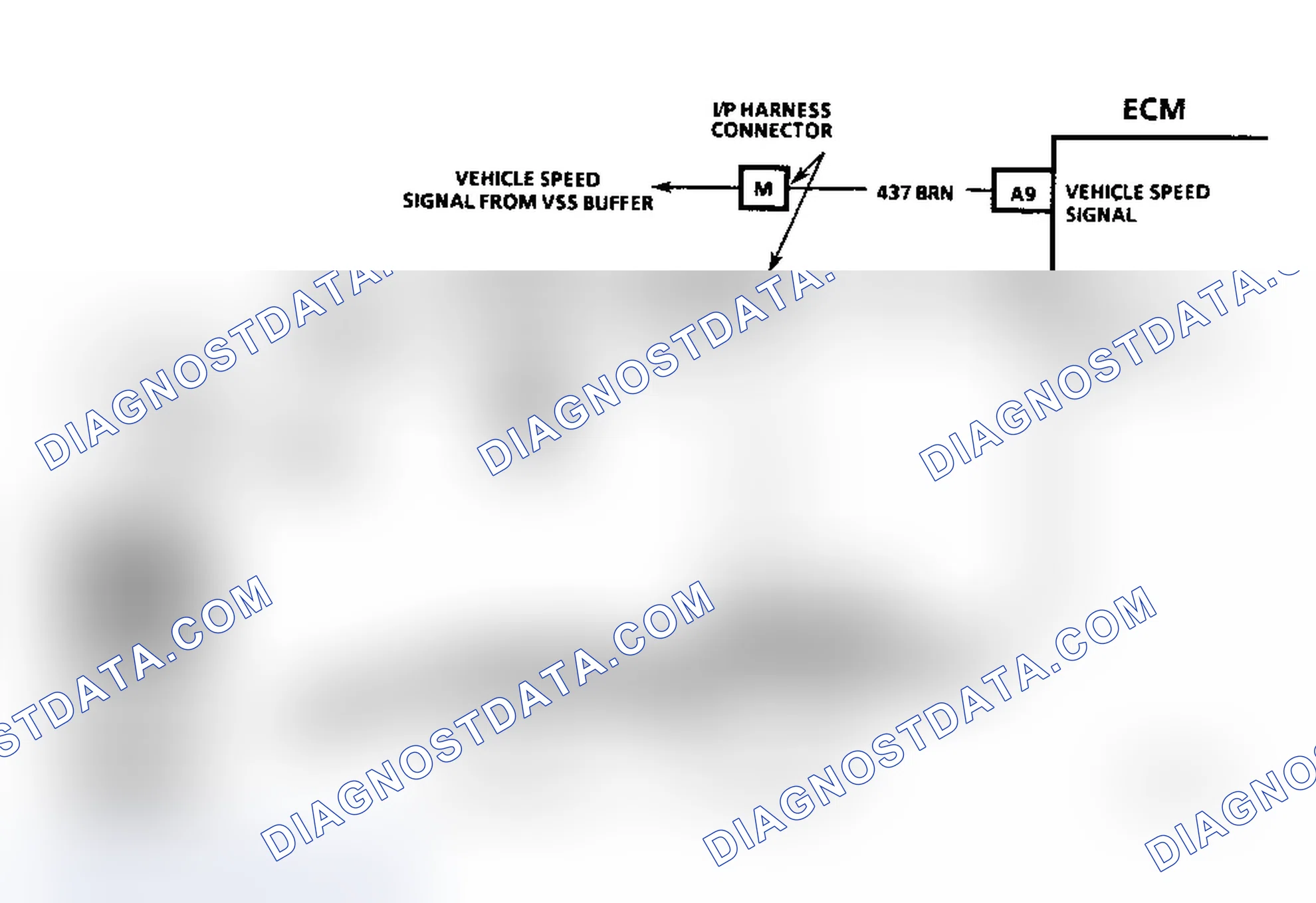 Scheme 316