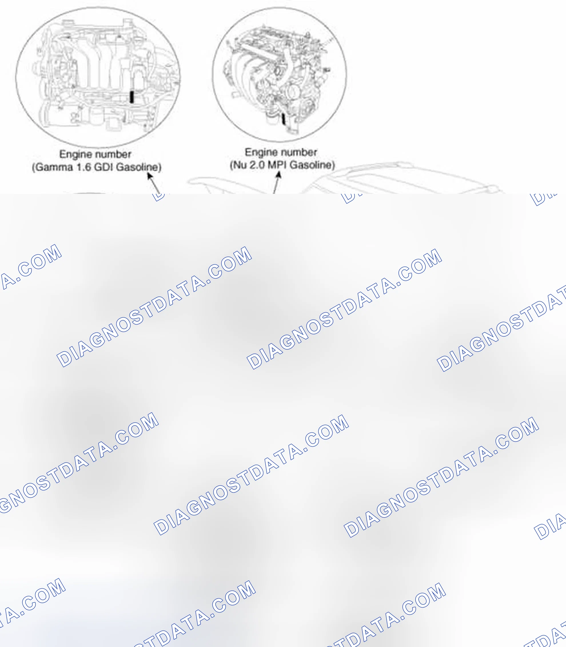 Scheme 4: Identification Number Locations