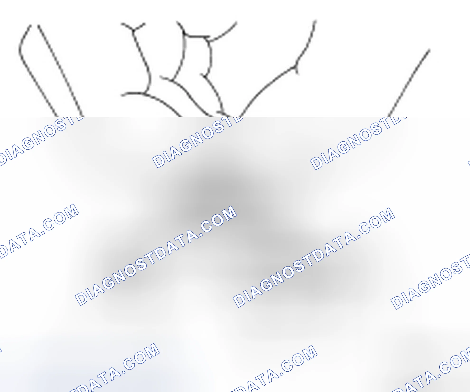 Scheme 85: CHECKING RADIATOR CAP