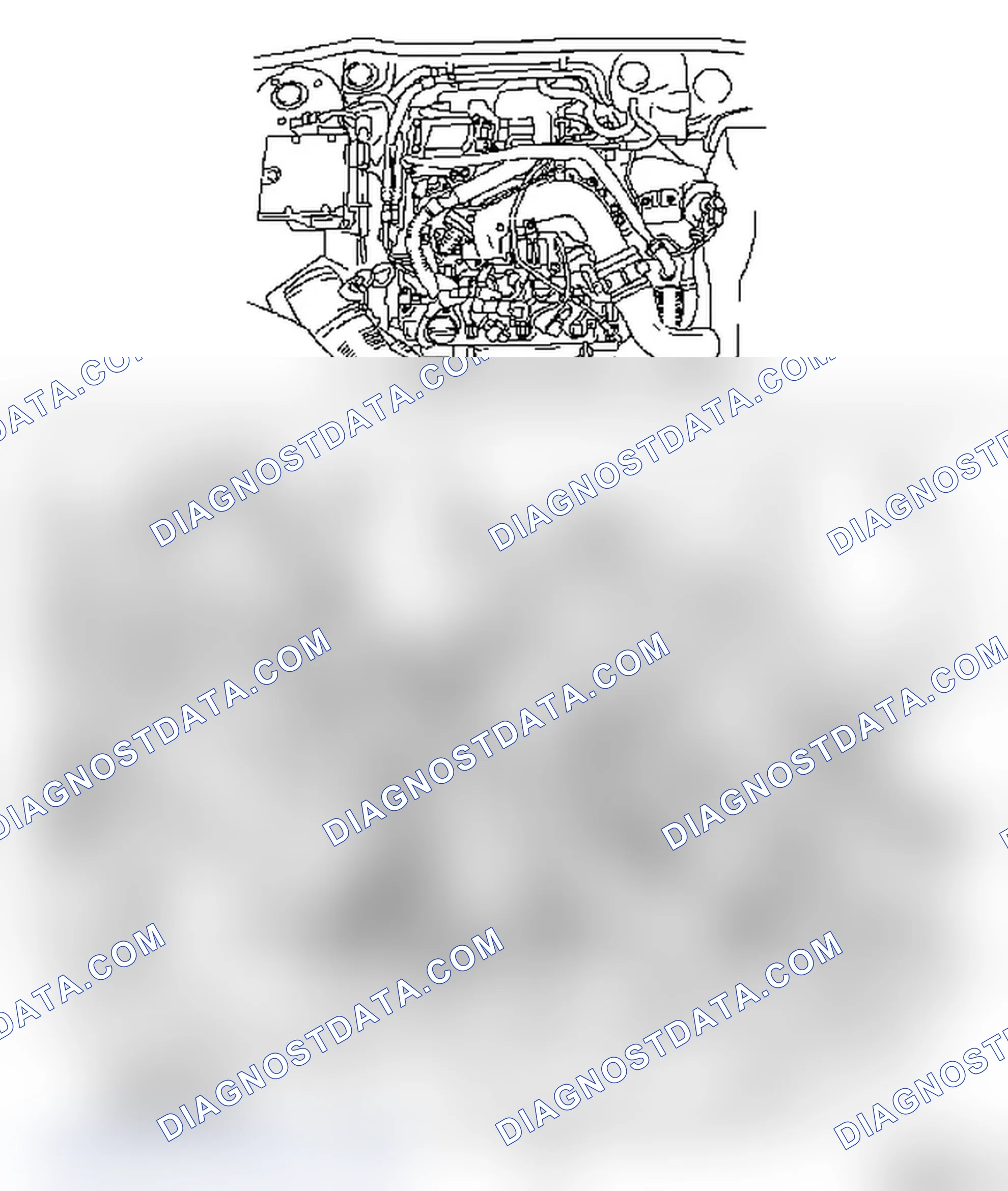 Engine Management System