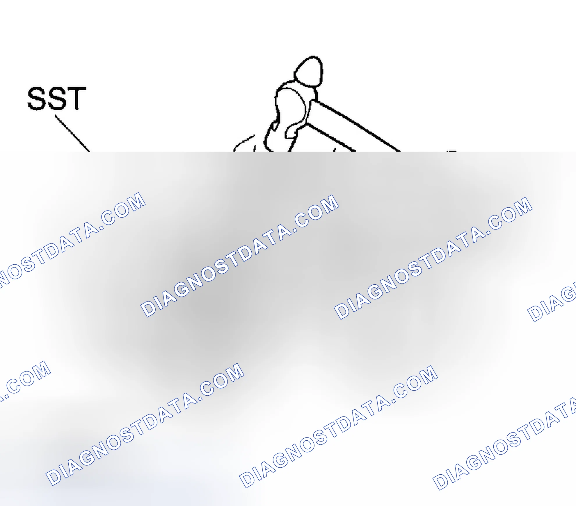 Scheme 145