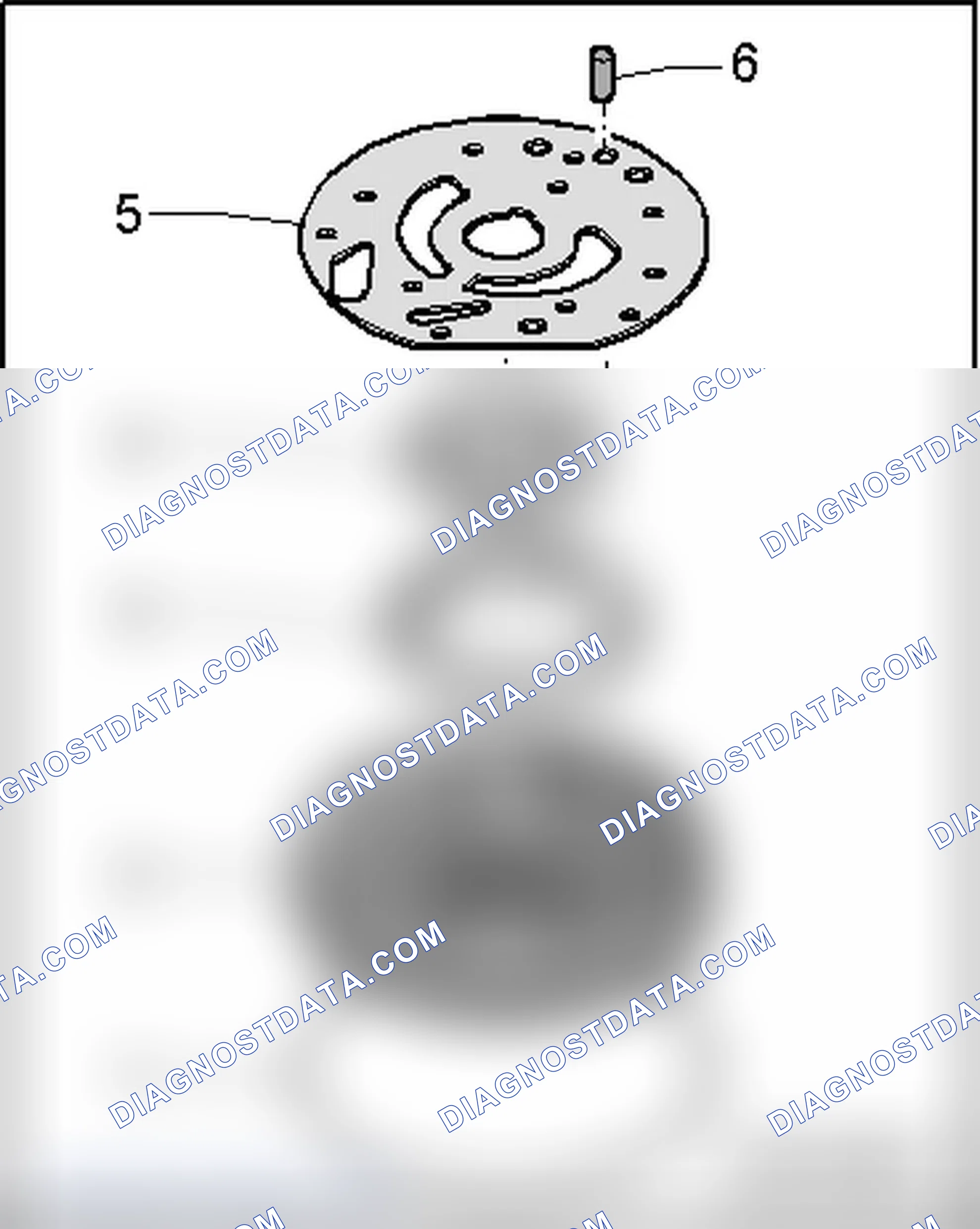Scheme 1197