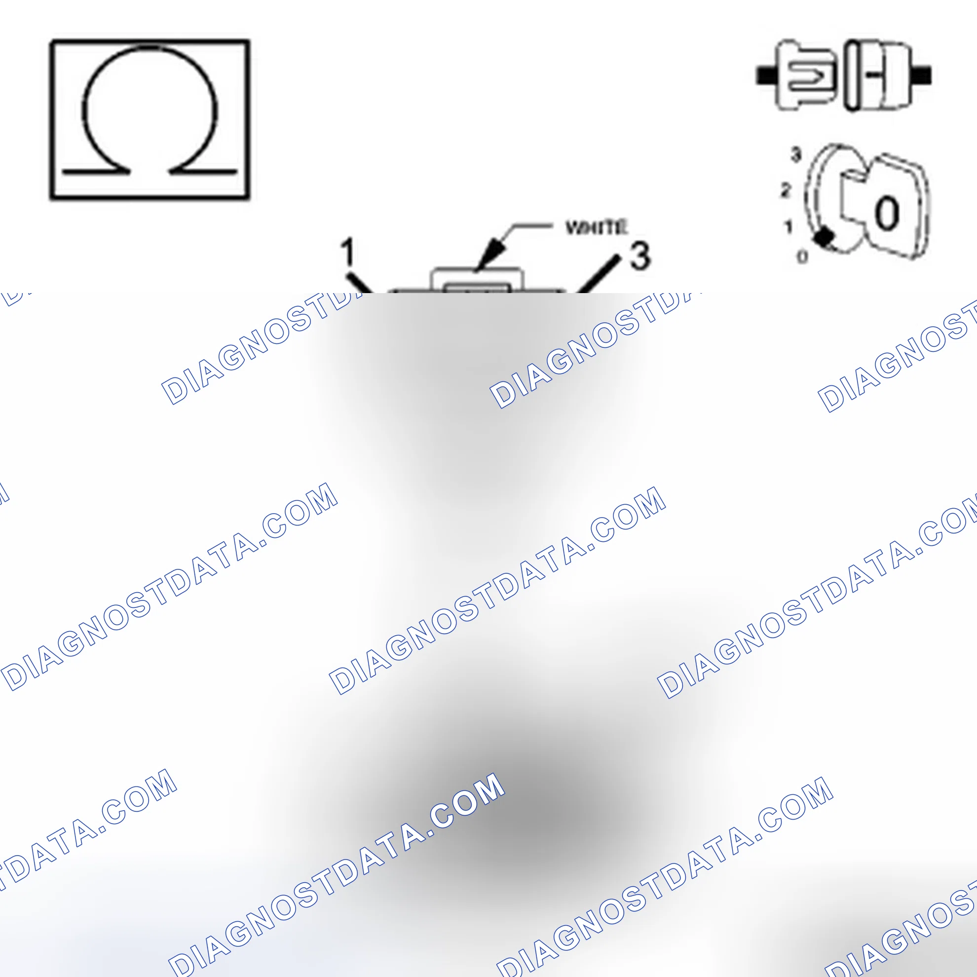 Scheme 31: Diagnostic Test