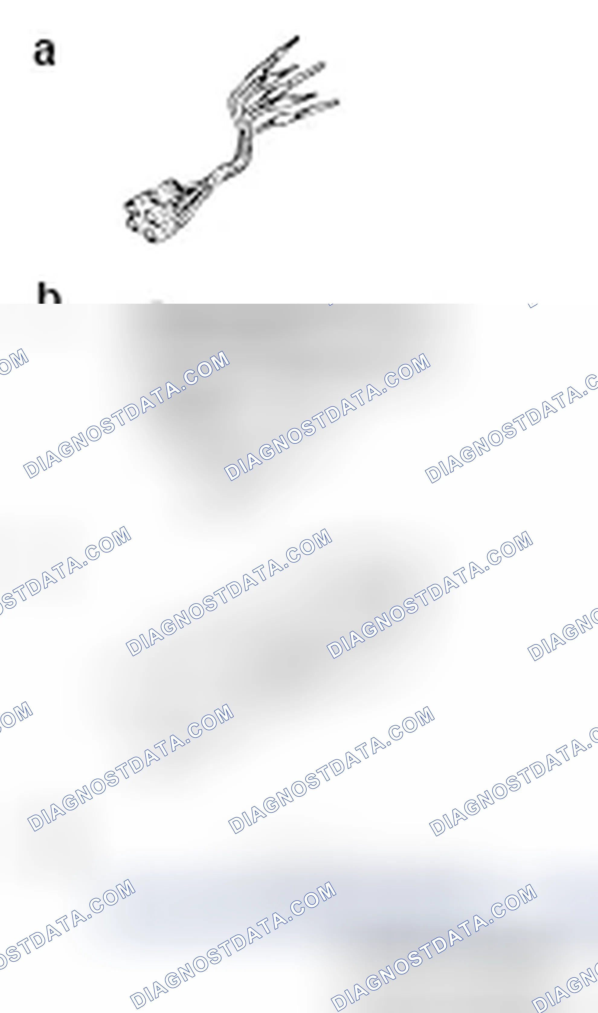 Scheme 177