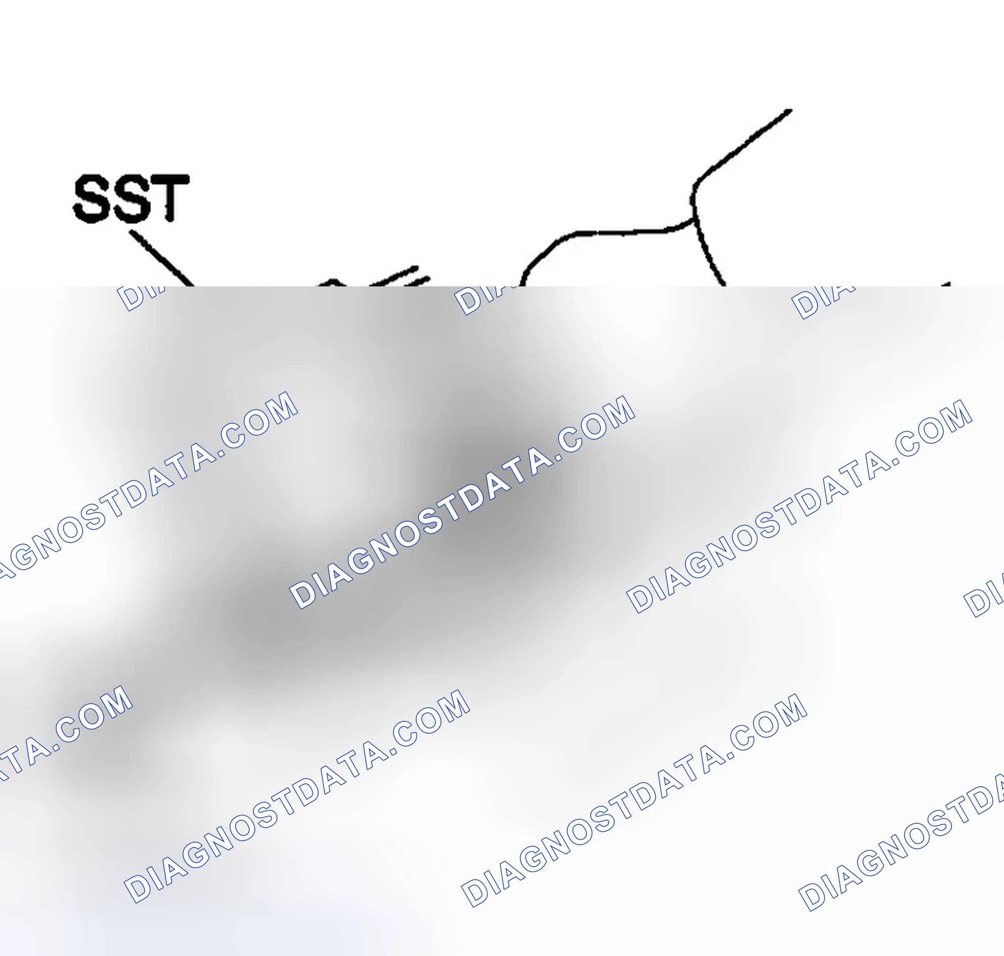Scheme 151