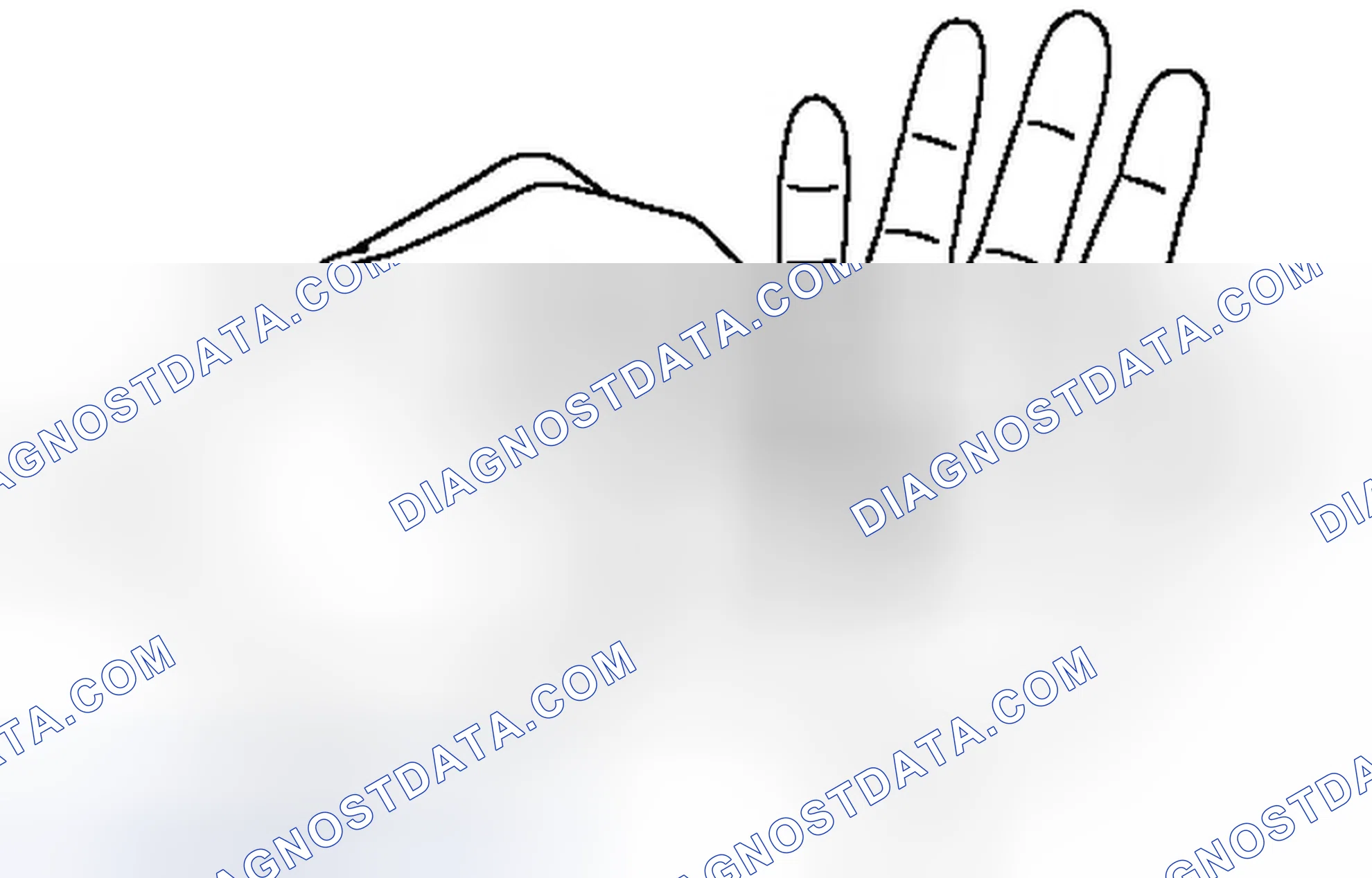 Scheme 610: INSPECTION