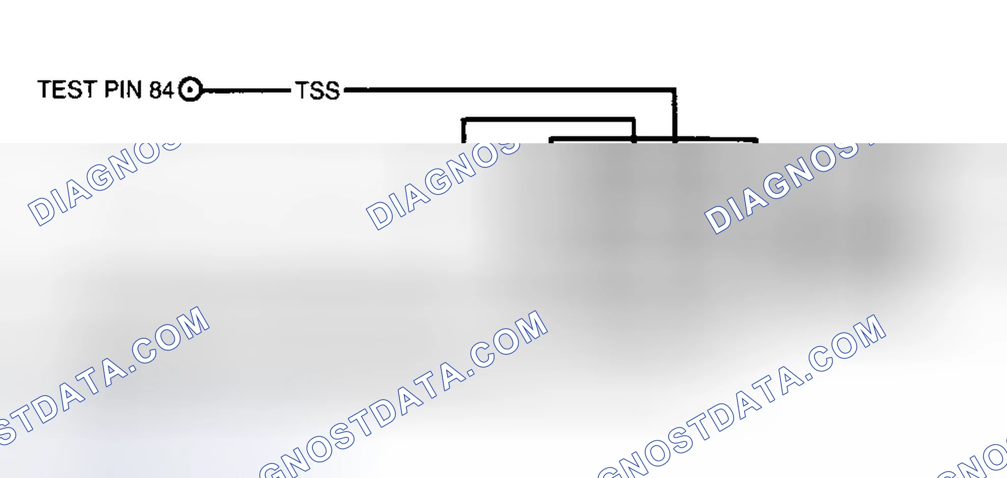 Scheme 515: 4R44E/4R55E Transmission Test Circuit & Connector Terminals
