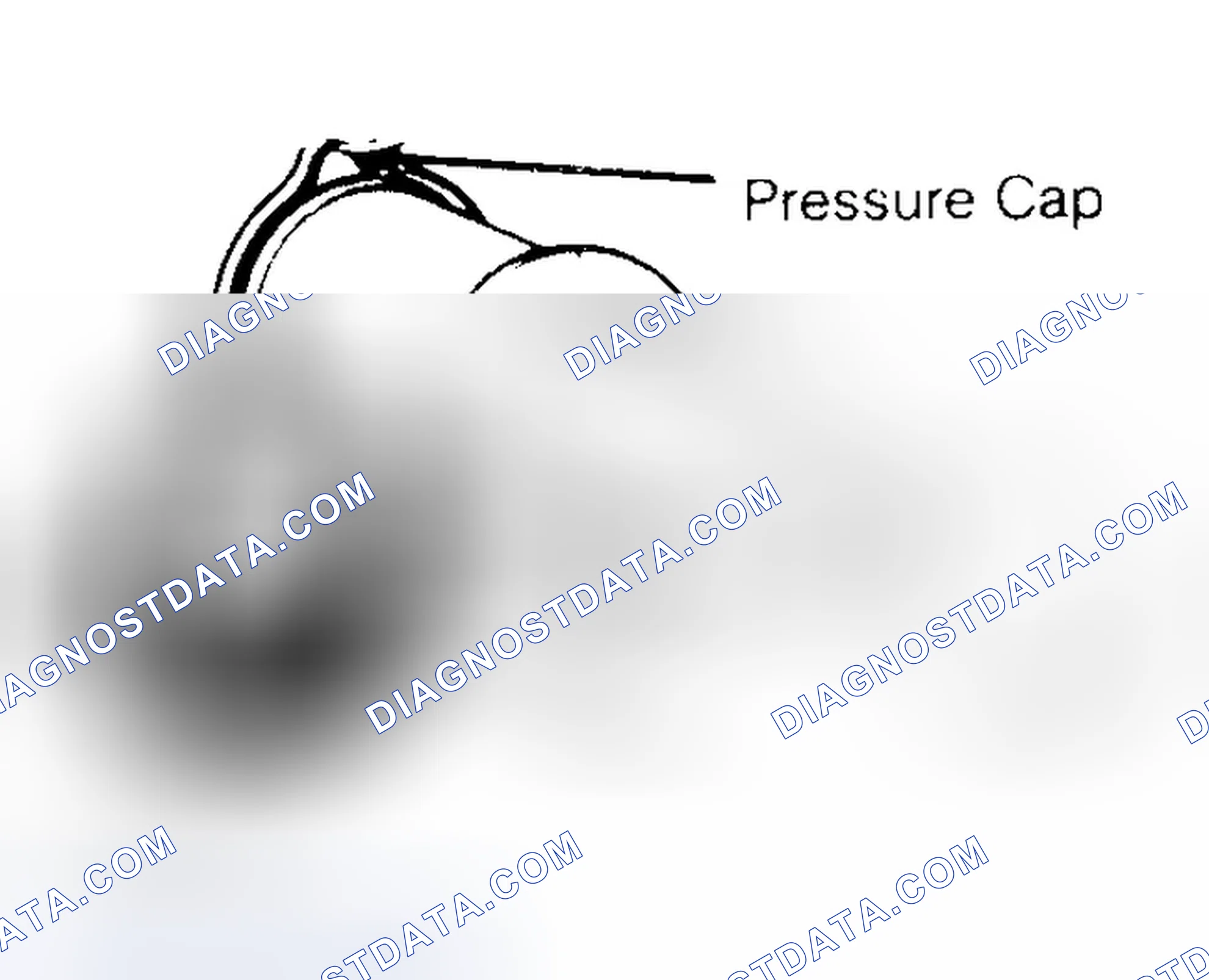 Scheme 2: Pressure Testing Radiator Cap