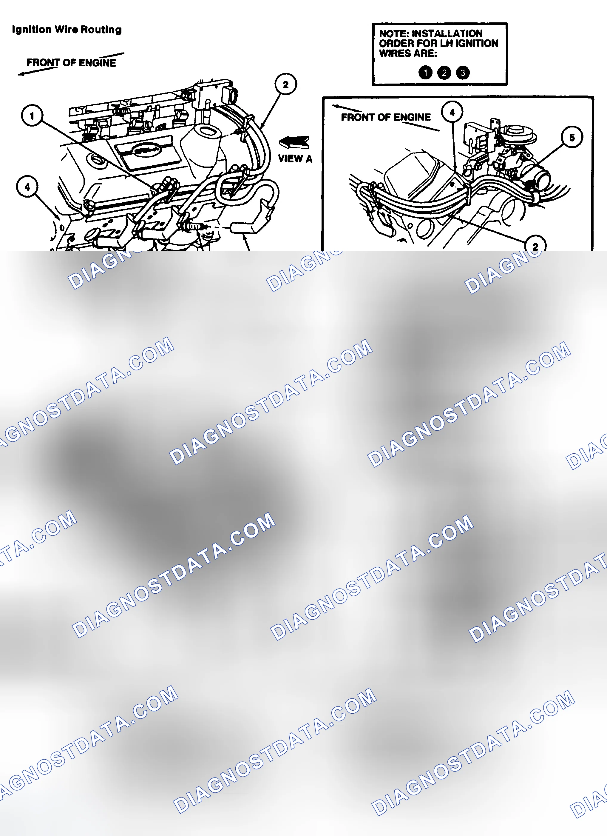 Scheme 9: Spark Plug Wire Routing (3.8L)