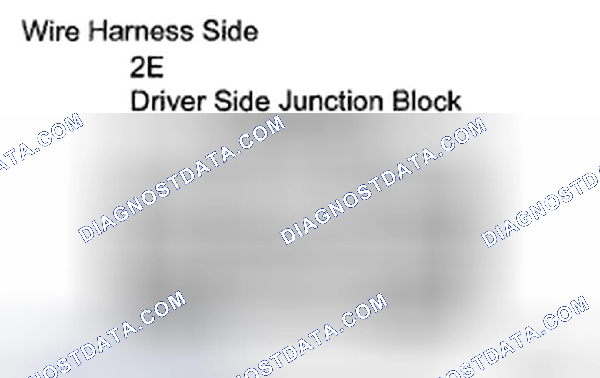 Scheme 5: INSPECTION PROCEDURE