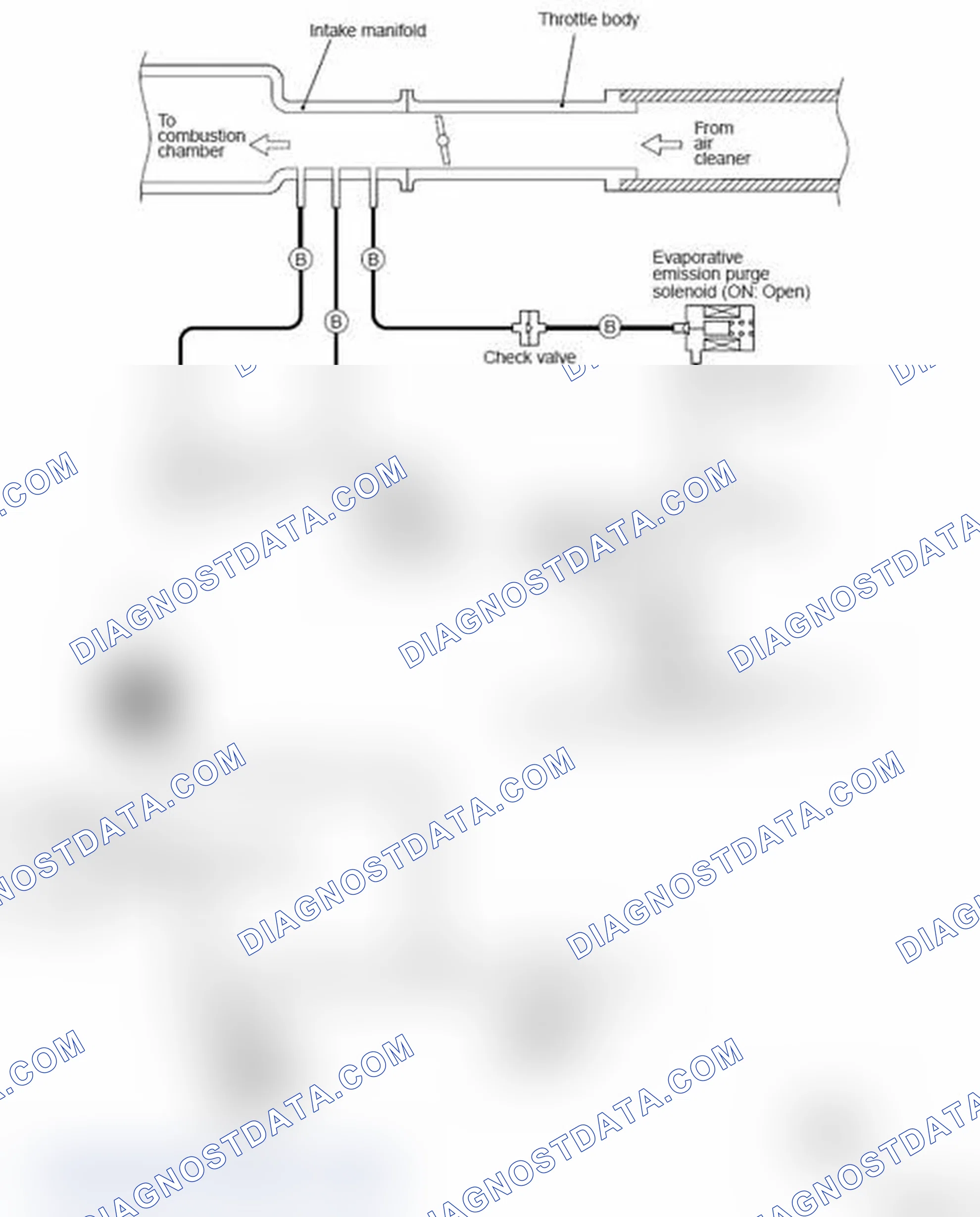 Scheme 6: Turbo