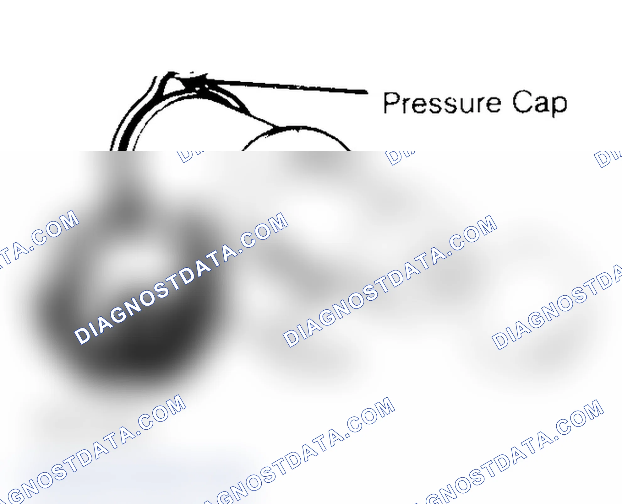 Scheme 2: Pressure Testing Radiator Cap