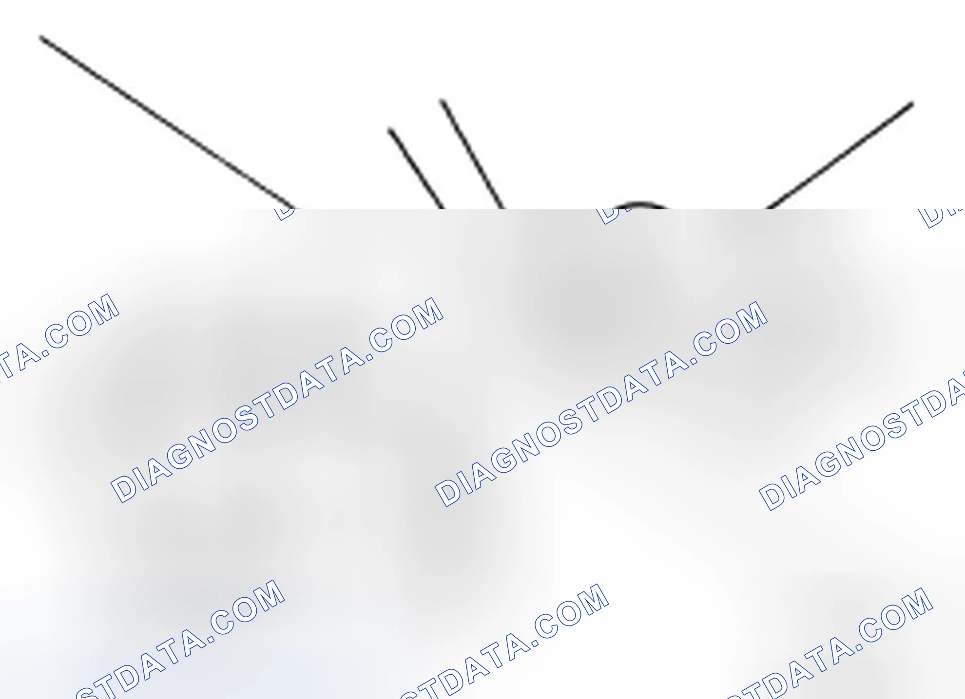 Scheme 8: BRAKE FLUID : Changing