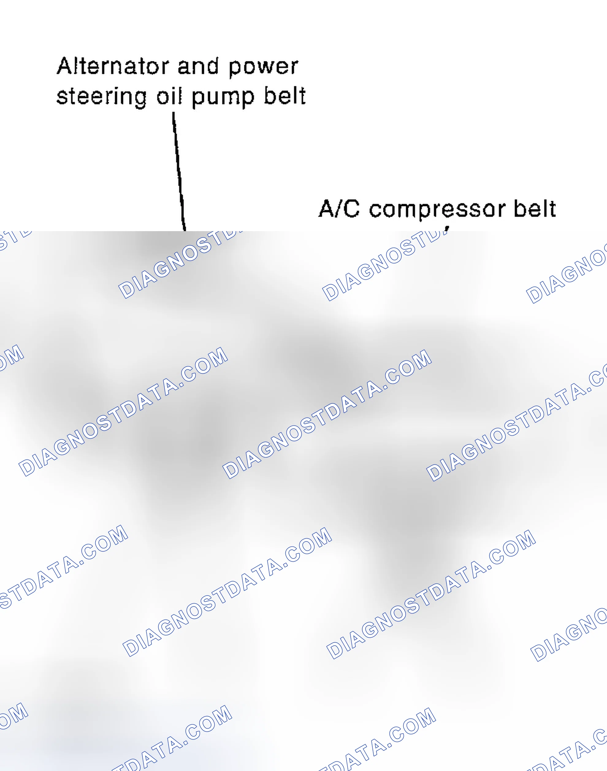 Scheme 17: Alternator And Power Steering Oil Pump Belt