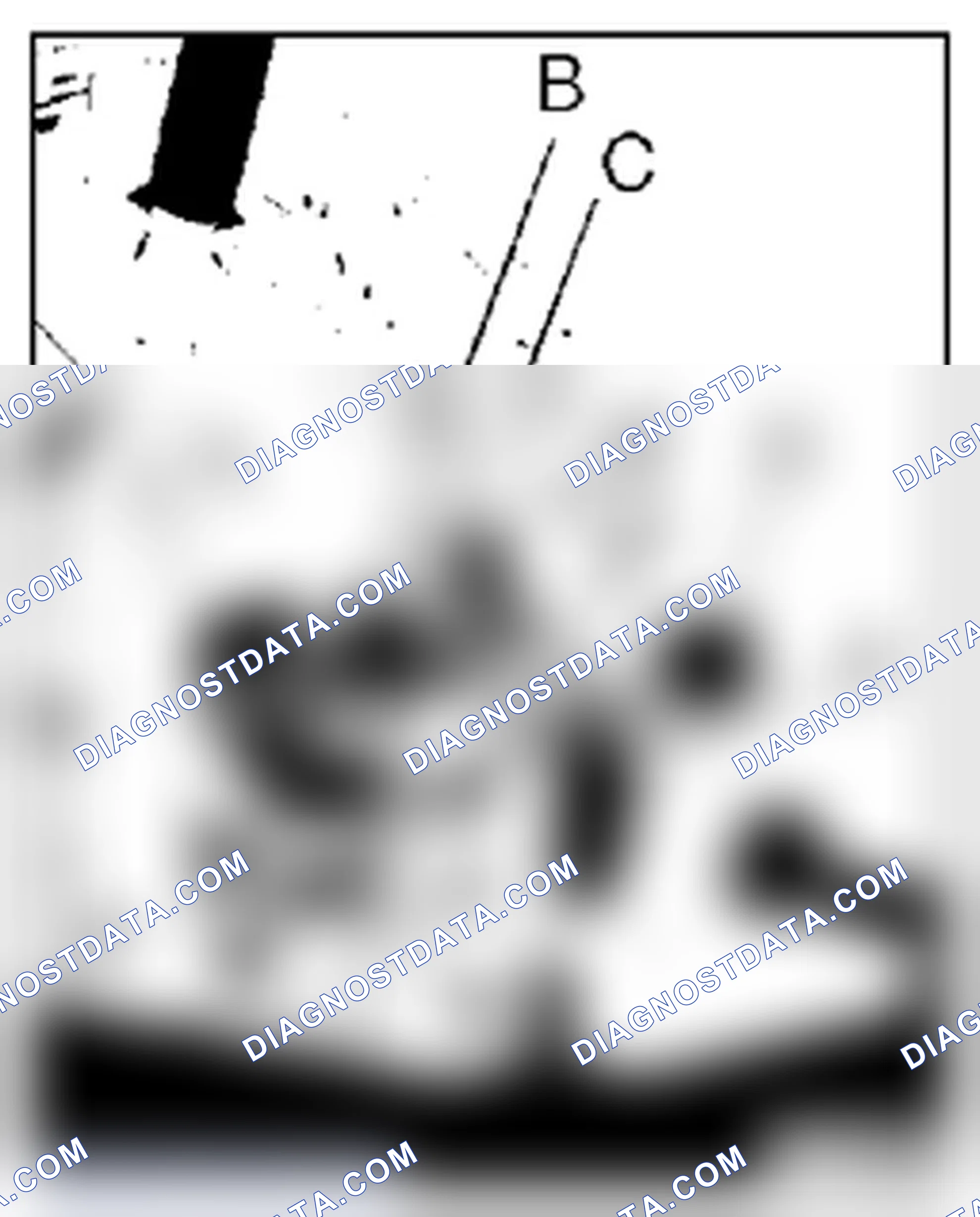 Scheme 172