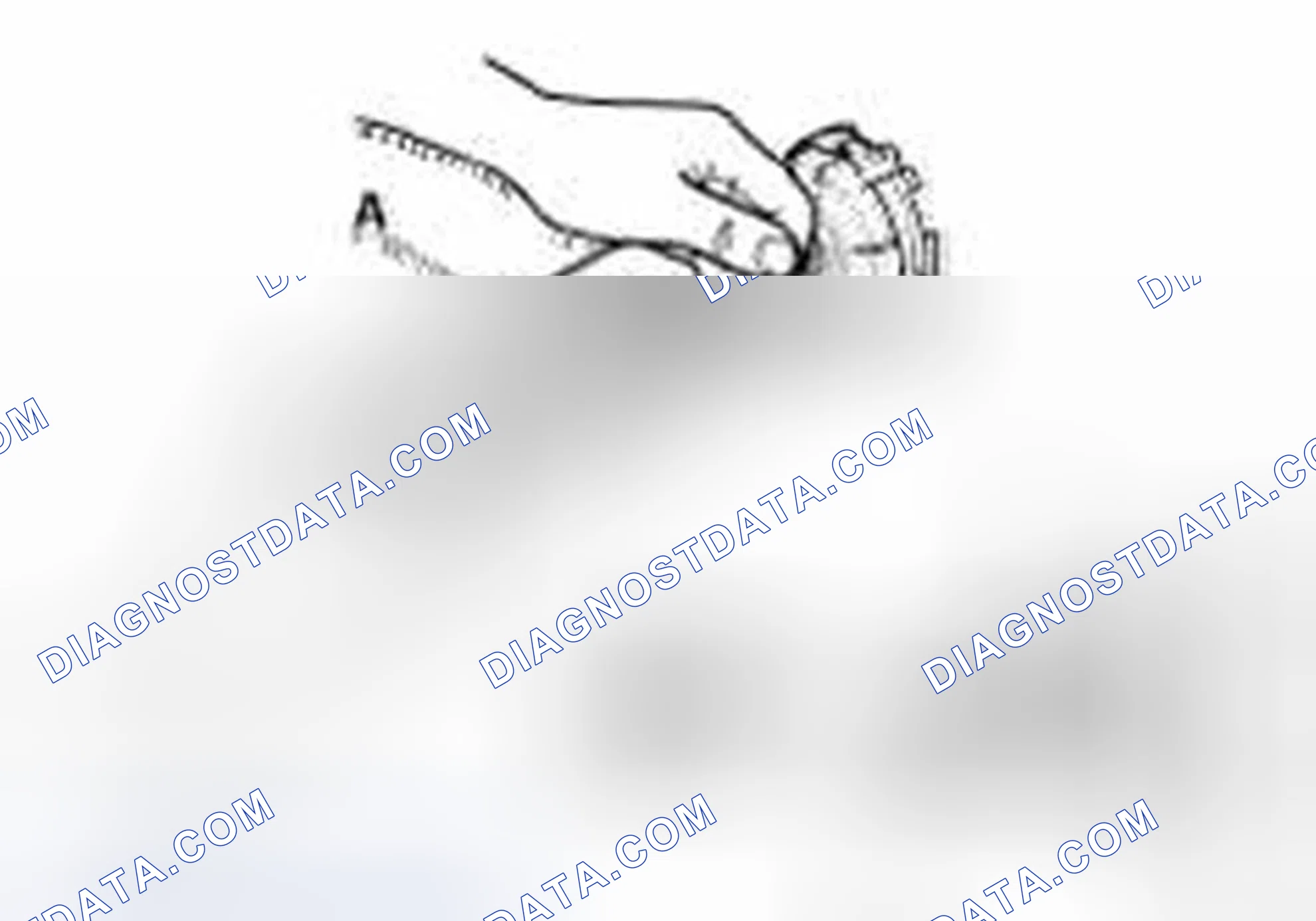 Scheme 149
