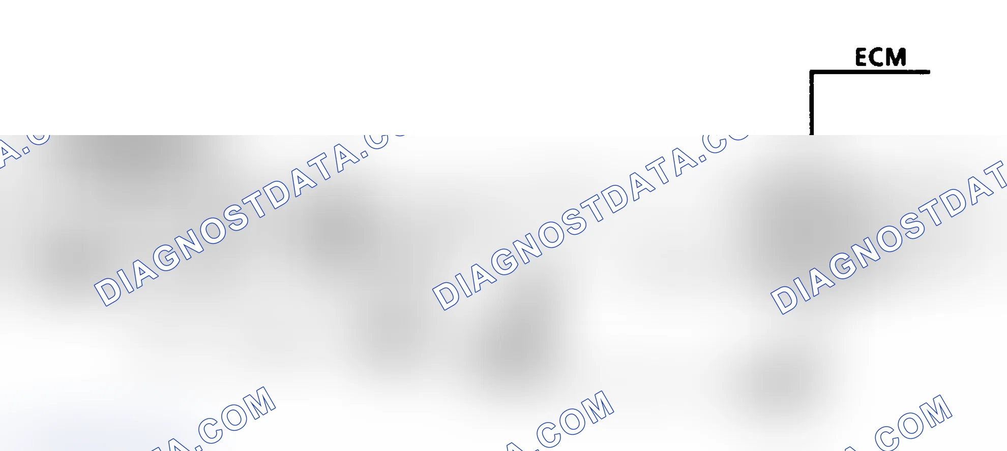 Scheme 4: Code 13 Schematic (4.3L Turbo) Open Oxygen Sensor Circuit