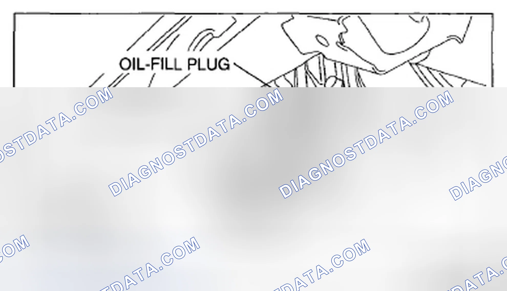 Scheme 4: DIFFERENTIAL OIL REPLACEMENT