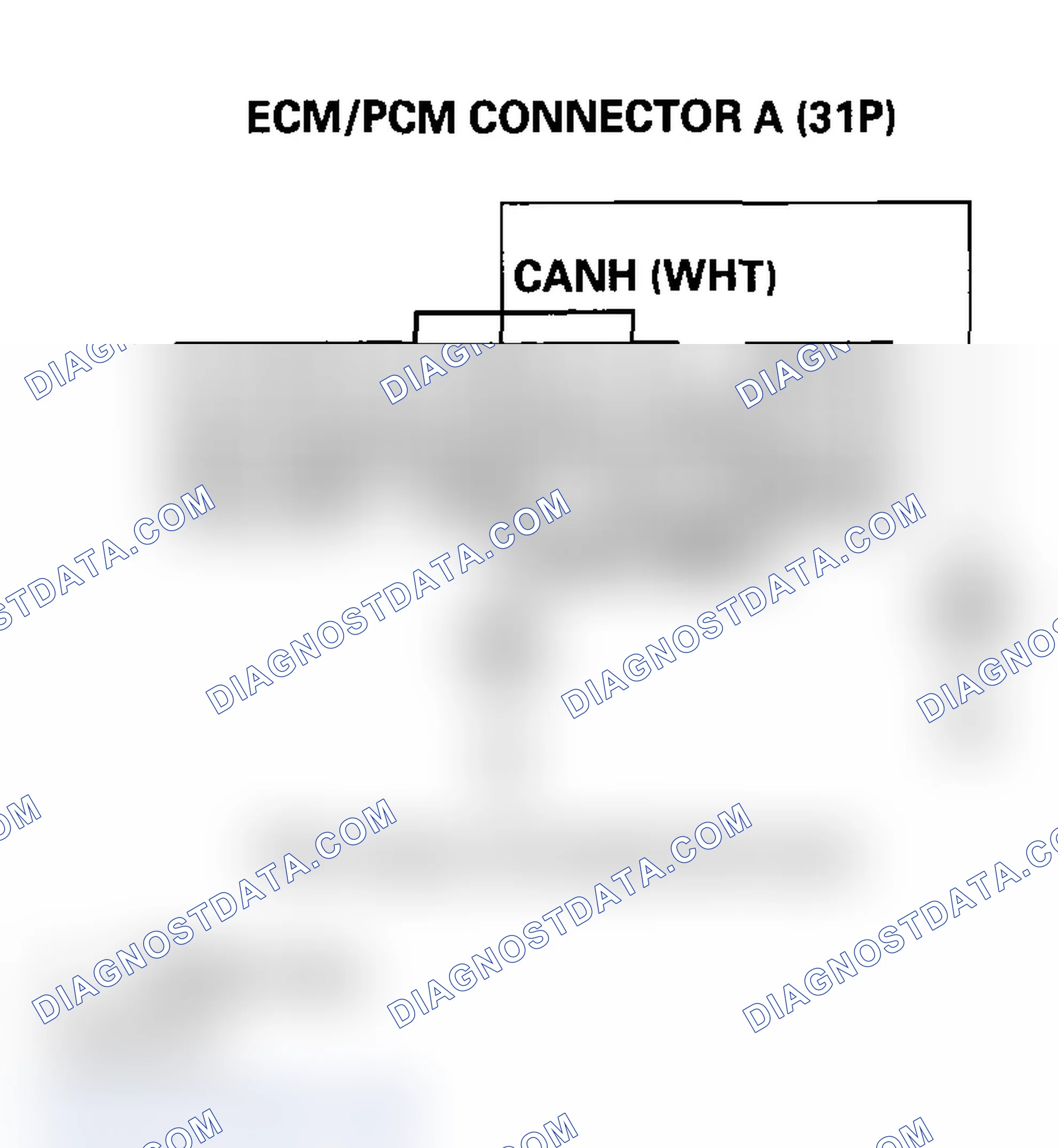 Scheme 241: DTC U0073, U0155: F-CAN Malfunction (BUS-OFF) (2004-2005 Models); F-CAN Malfunction (Gauge Control M