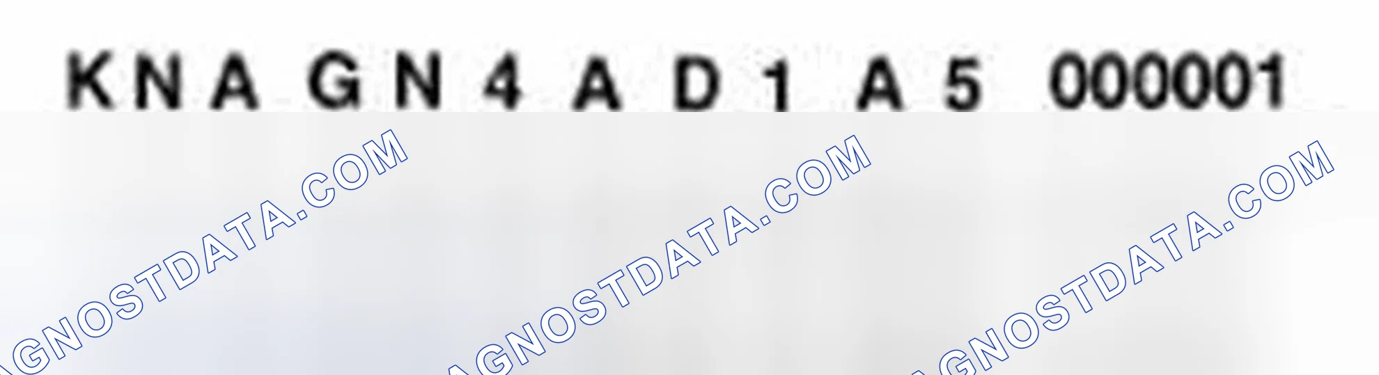 Scheme 22: Vehicle Identification Number