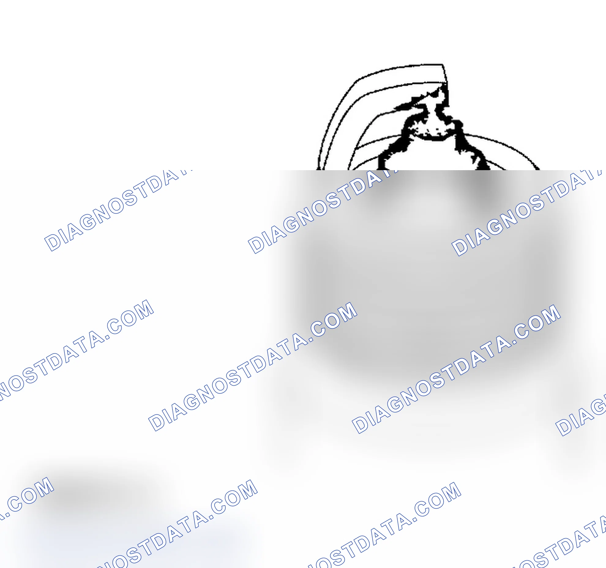 Scheme 58: Spark Plug Inspection