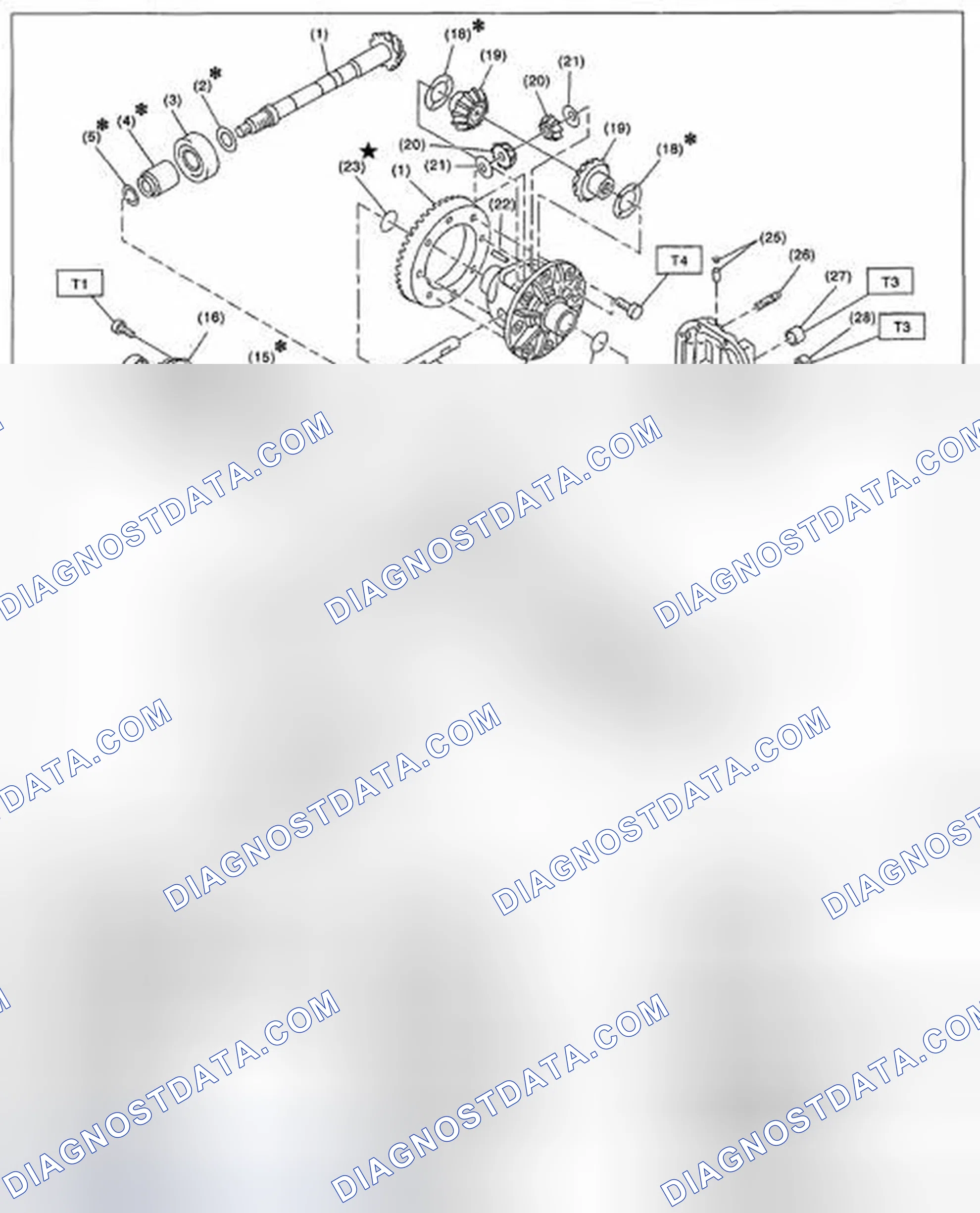 Scheme 78: REAR DIFFERENTIAL (T-TYPE)