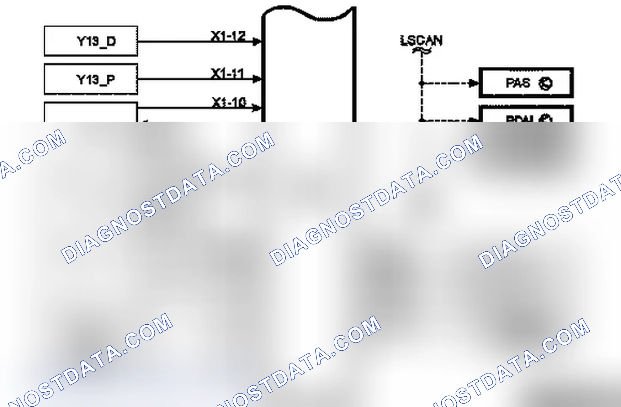 Body Control Module BCM - Function