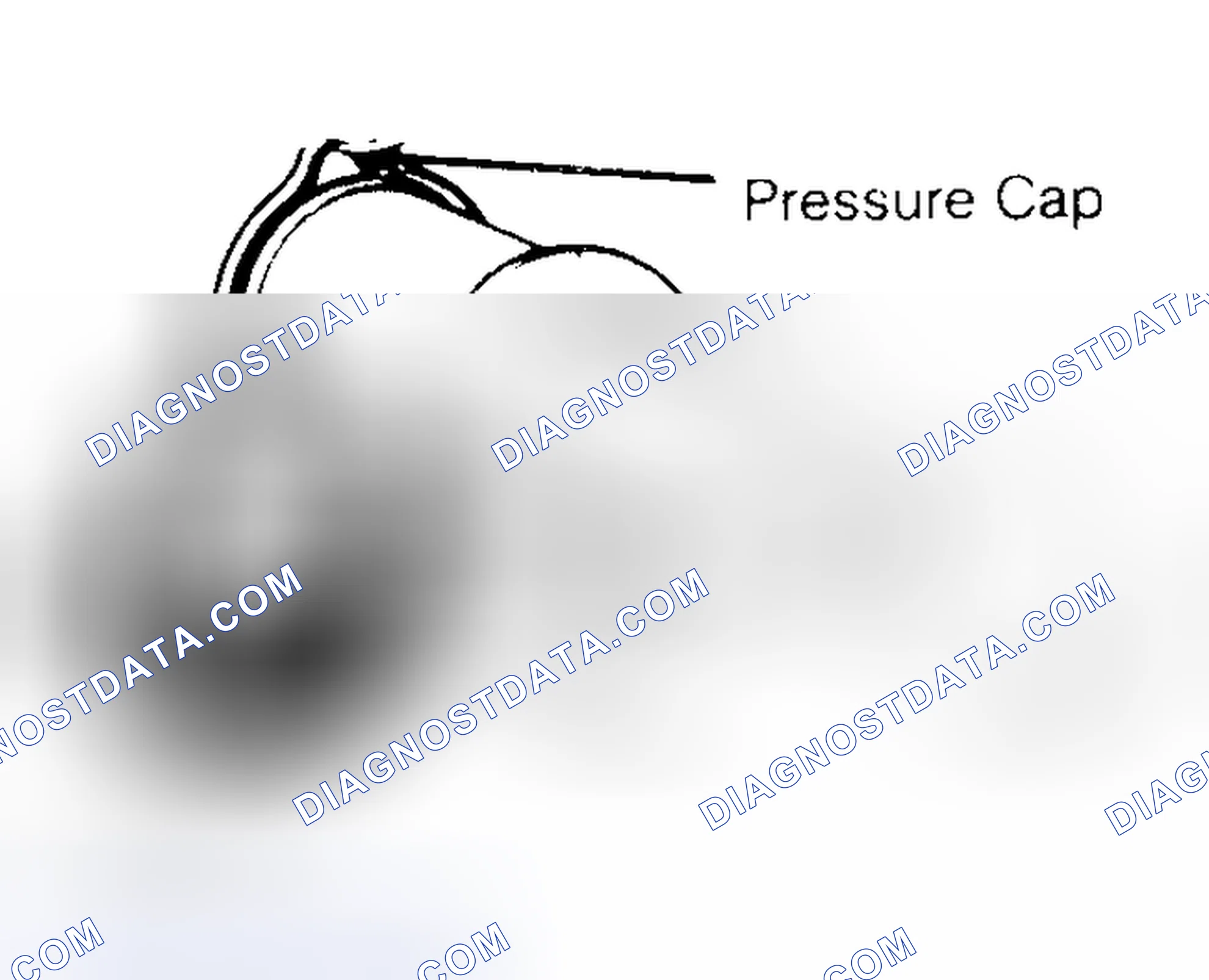 Scheme 2: Pressure Testing Radiator Cap