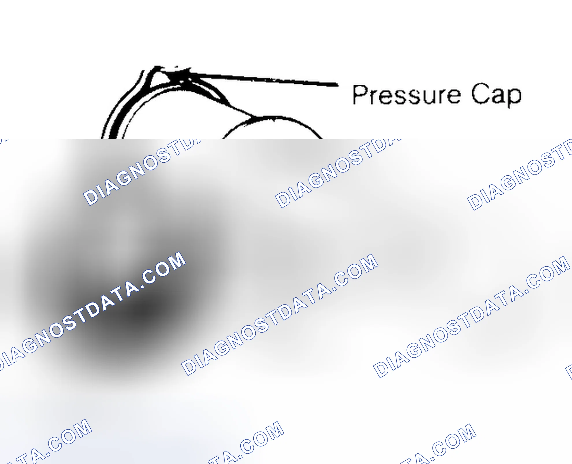 Scheme 2: Pressure Testing Radiator Cap
